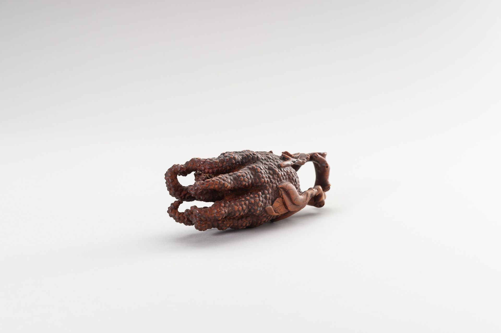 A BOXWOOD CARVING OF 'BUDDHA HAND CITRON' - Image 11 of 11