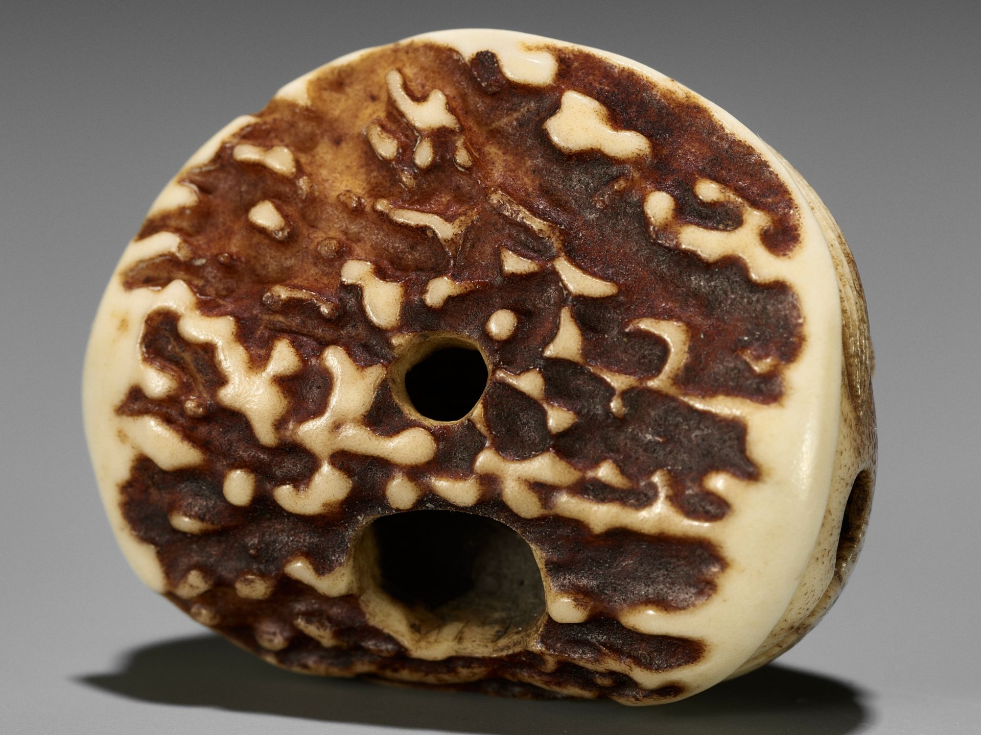 A FINE STAG ANTLER NETSUKE OF A DOUBLE DRAGON-HEADED MOKUGYO - Image 10 of 11