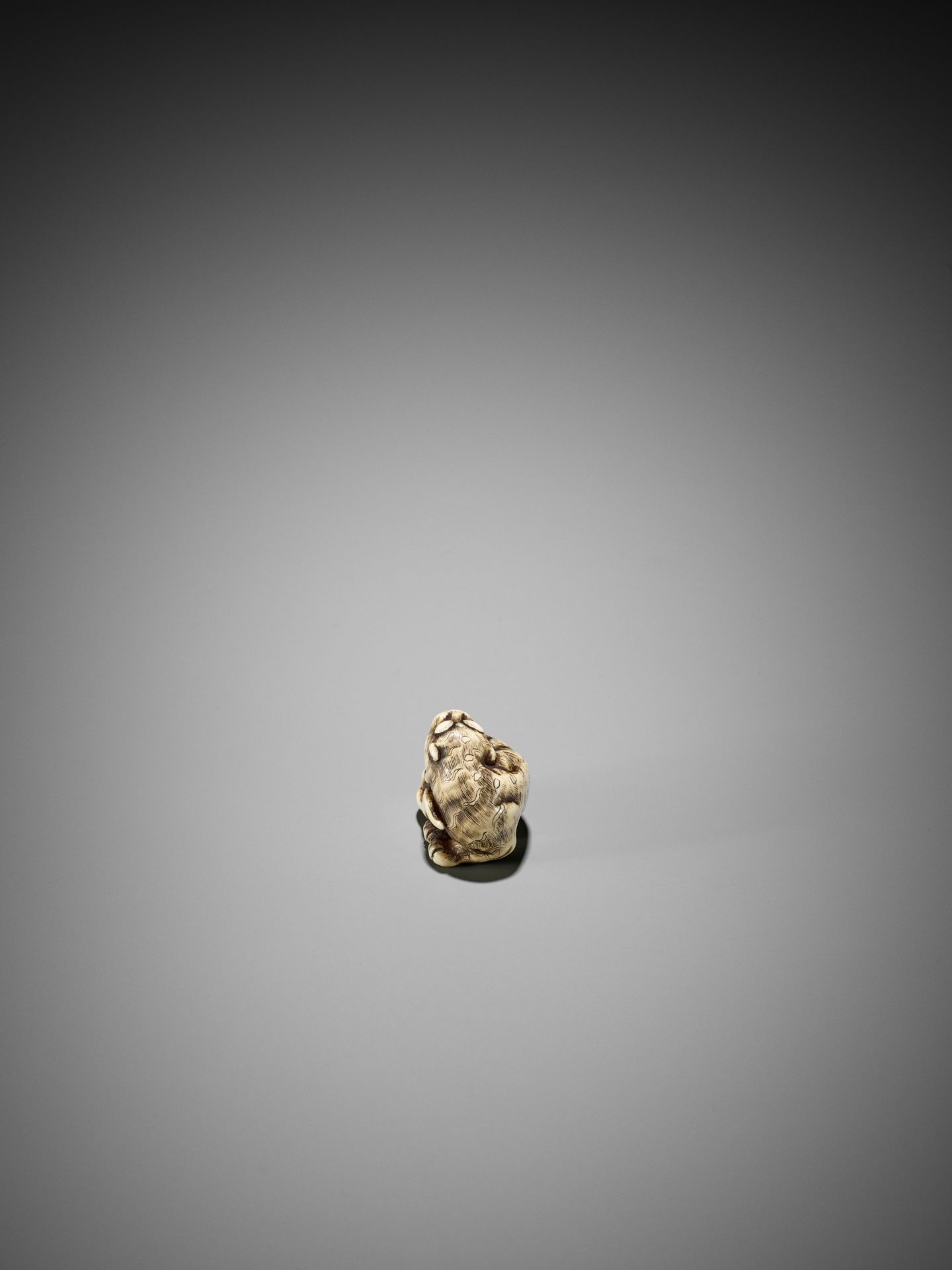 A GOOD KYOTO SCHOOL IVORY NETSUKE OF A TIGER - Image 10 of 15