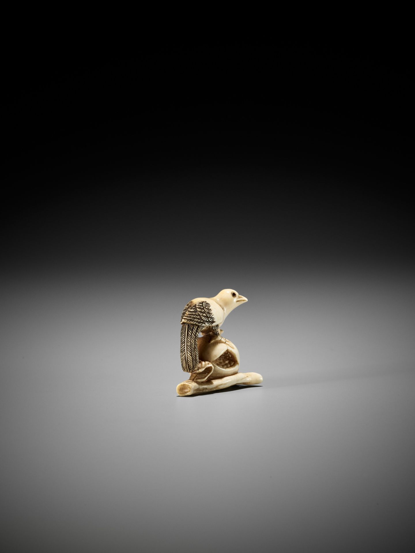 AN IVORY NETSUKE OF A PIGEON PERCHED ON A POMEGRANATE, ATTRIBUTED TO ANRAKU - Image 7 of 9