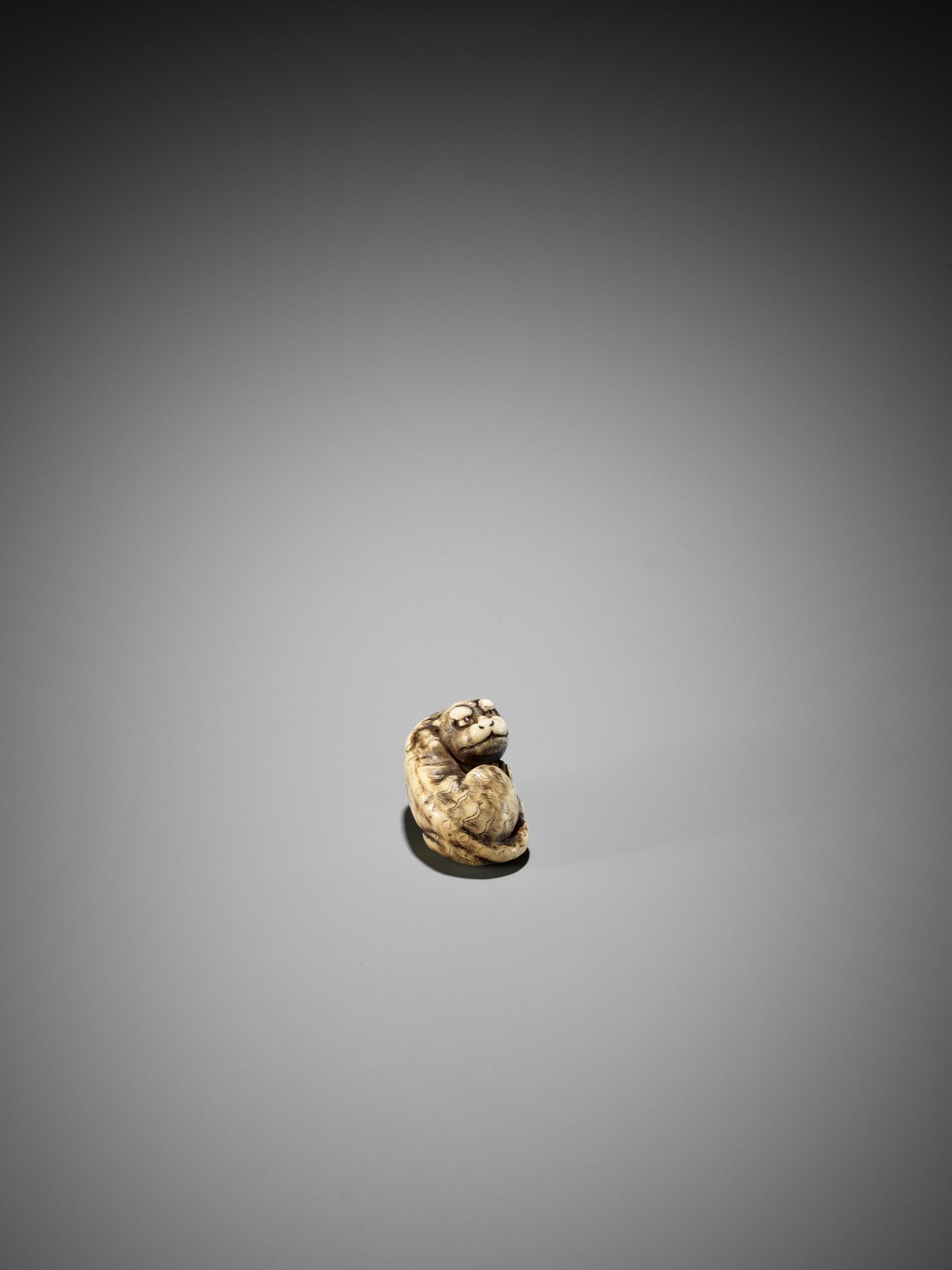 A GOOD KYOTO SCHOOL IVORY NETSUKE OF A TIGER - Image 6 of 15