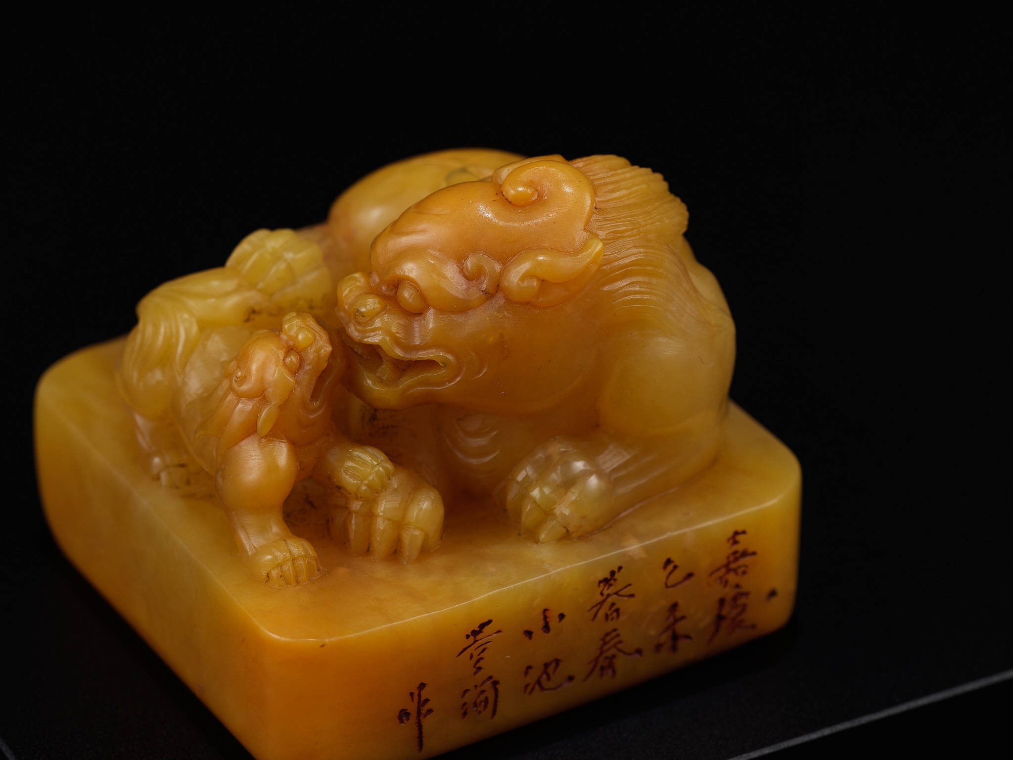 A TIANHUANG 'BUDDHIST LION AND CUB' SEAL, QING DYNASTY - Image 19 of 19