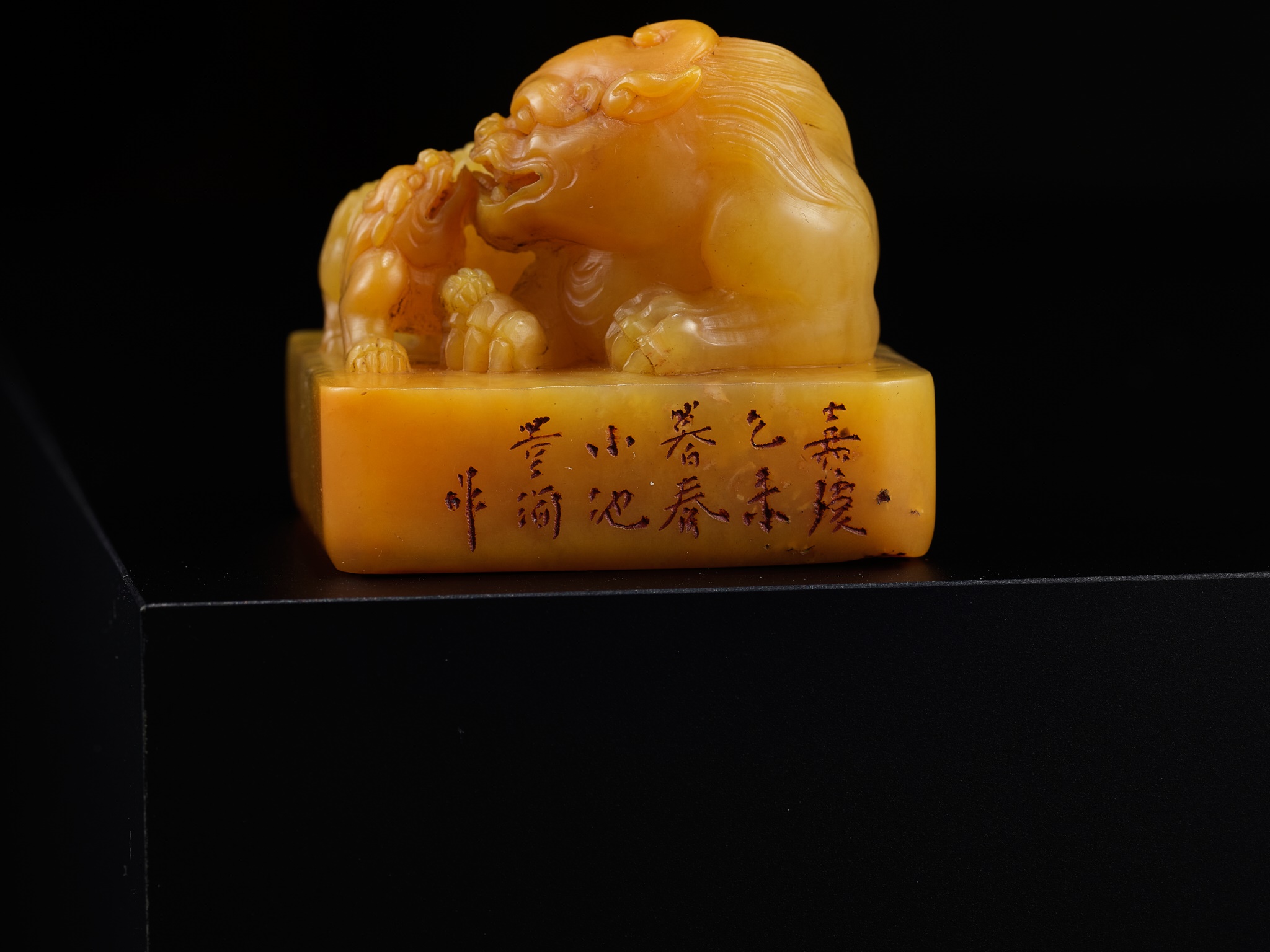 A TIANHUANG 'BUDDHIST LION AND CUB' SEAL, QING DYNASTY - Image 15 of 19