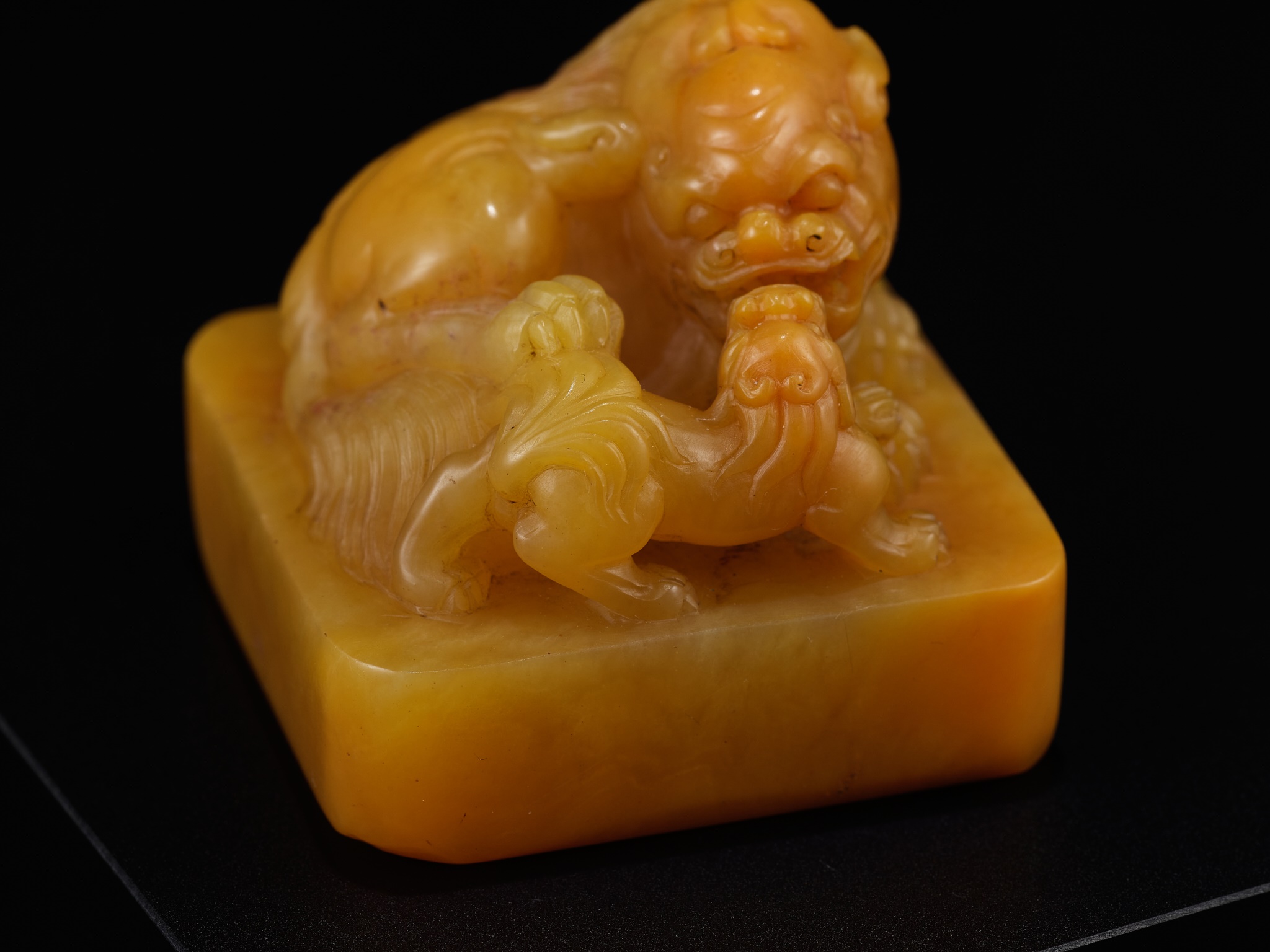 A TIANHUANG 'BUDDHIST LION AND CUB' SEAL, QING DYNASTY - Image 16 of 19