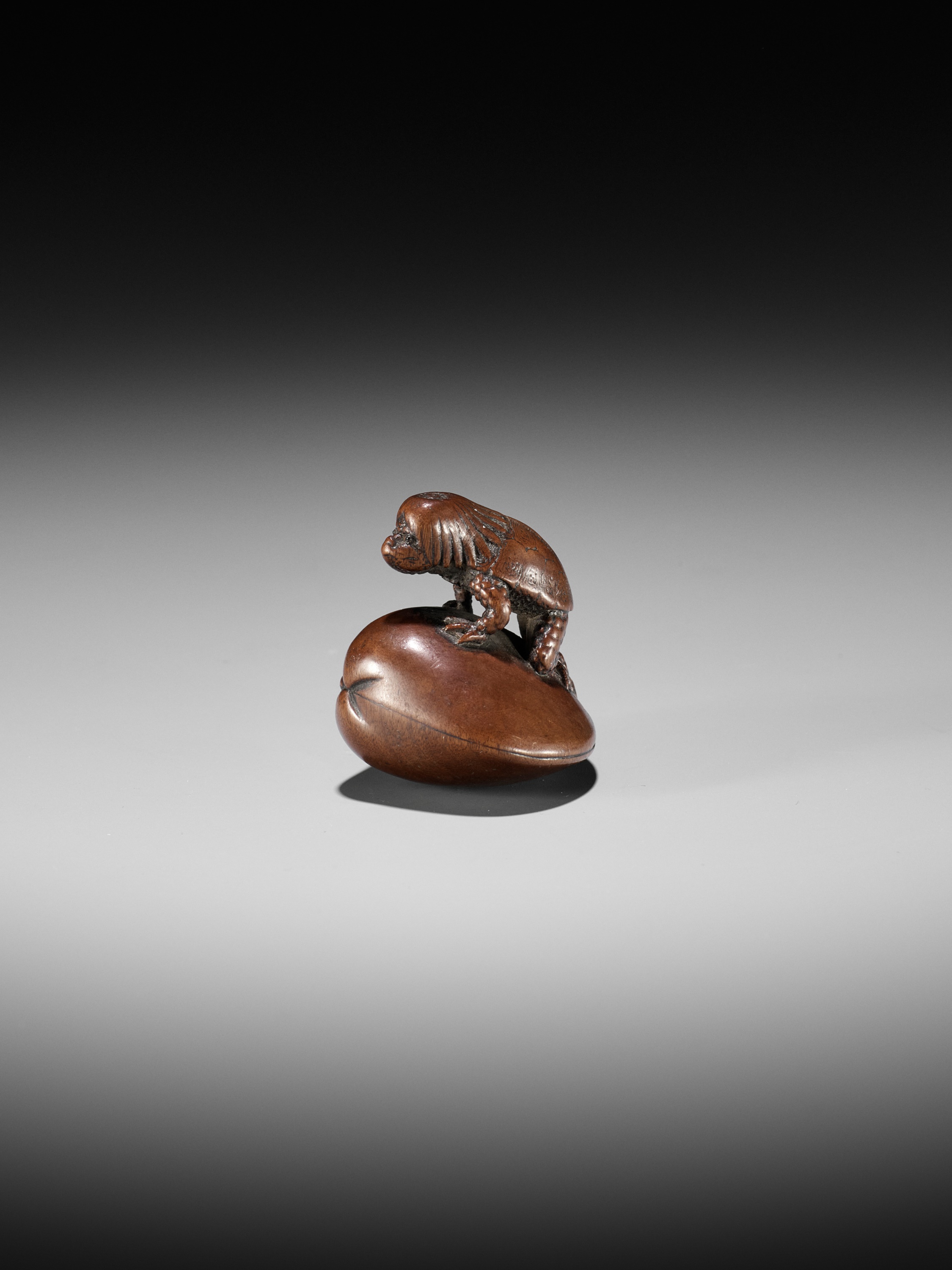 SUKETADA: A FINE WOOD NETSUKE OF A KAPPA TRAPPED BY A CLAM - Image 10 of 16