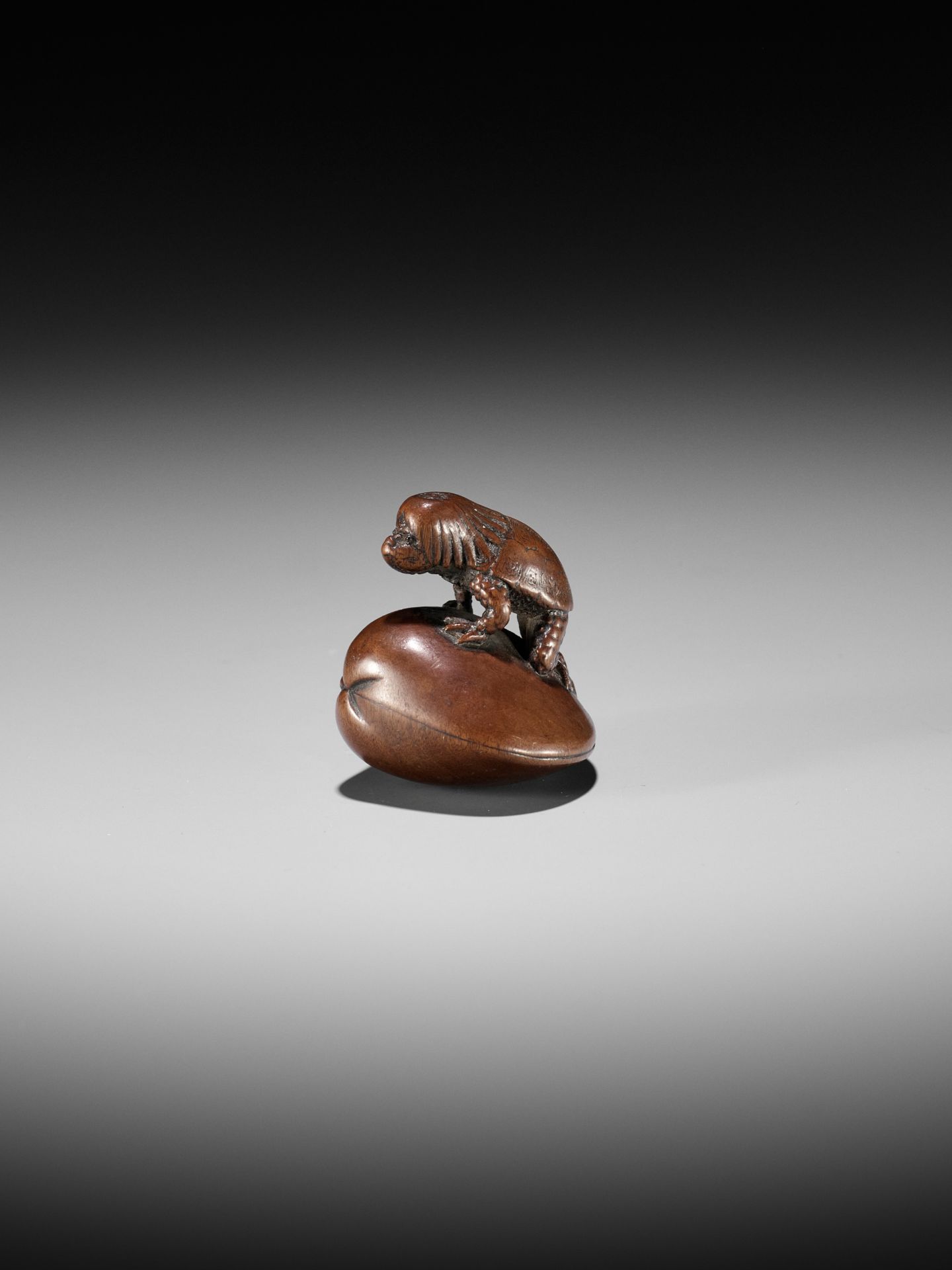 SUKETADA: A FINE WOOD NETSUKE OF A KAPPA TRAPPED BY A CLAM - Image 10 of 16