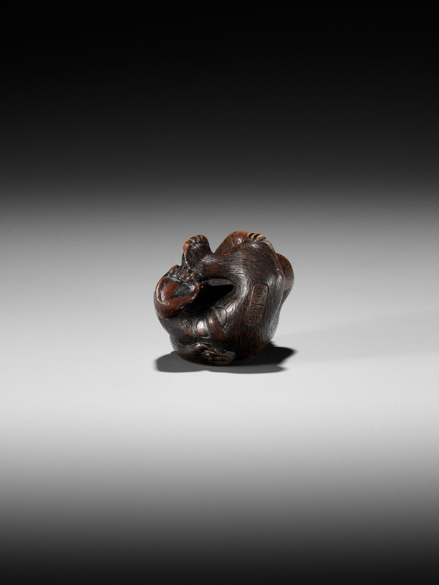 NAITO TOYOMASA: A SUPERB WOOD NETSUKE OF A MONKEY SCRATCHING ITSELF - Bild 8 aus 17