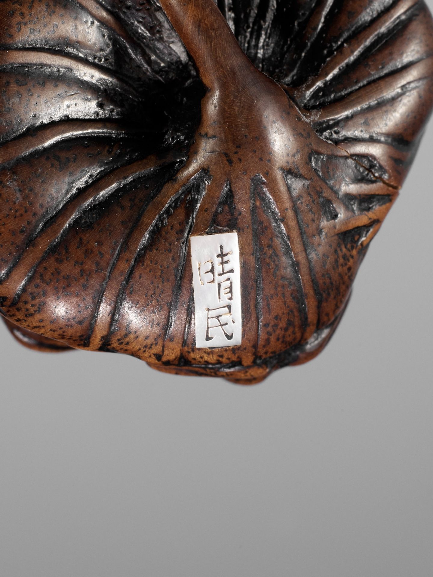 SEIMIN: A FINE WOOD NETSUKE OF A FROGS ON A LOTUS LEAF - Bild 12 aus 12