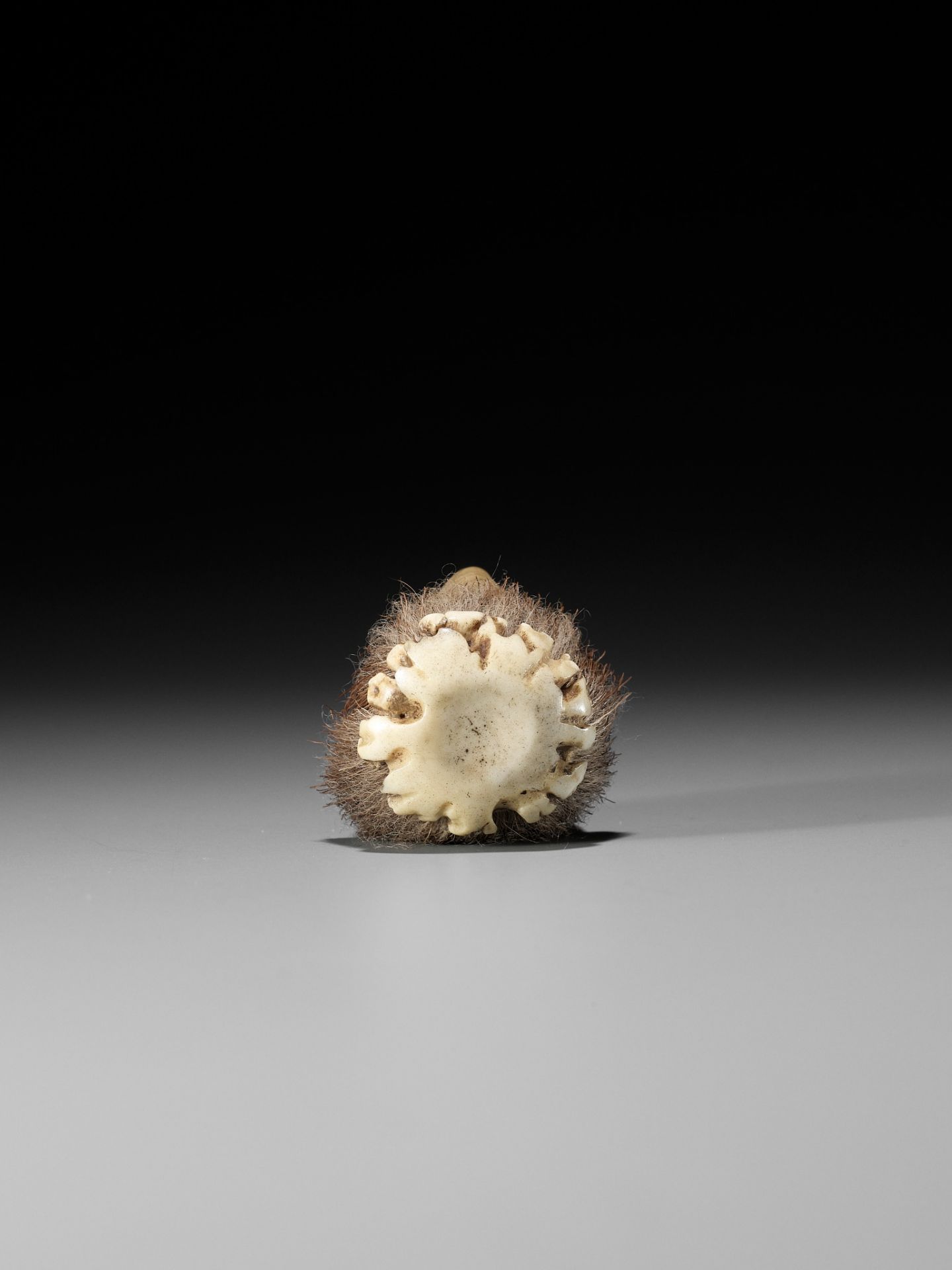 HAKUSAI: A RARE COROZO NUT AND STAG ANTLER NETSUKE OF A KAPPA HEAD - Image 9 of 11