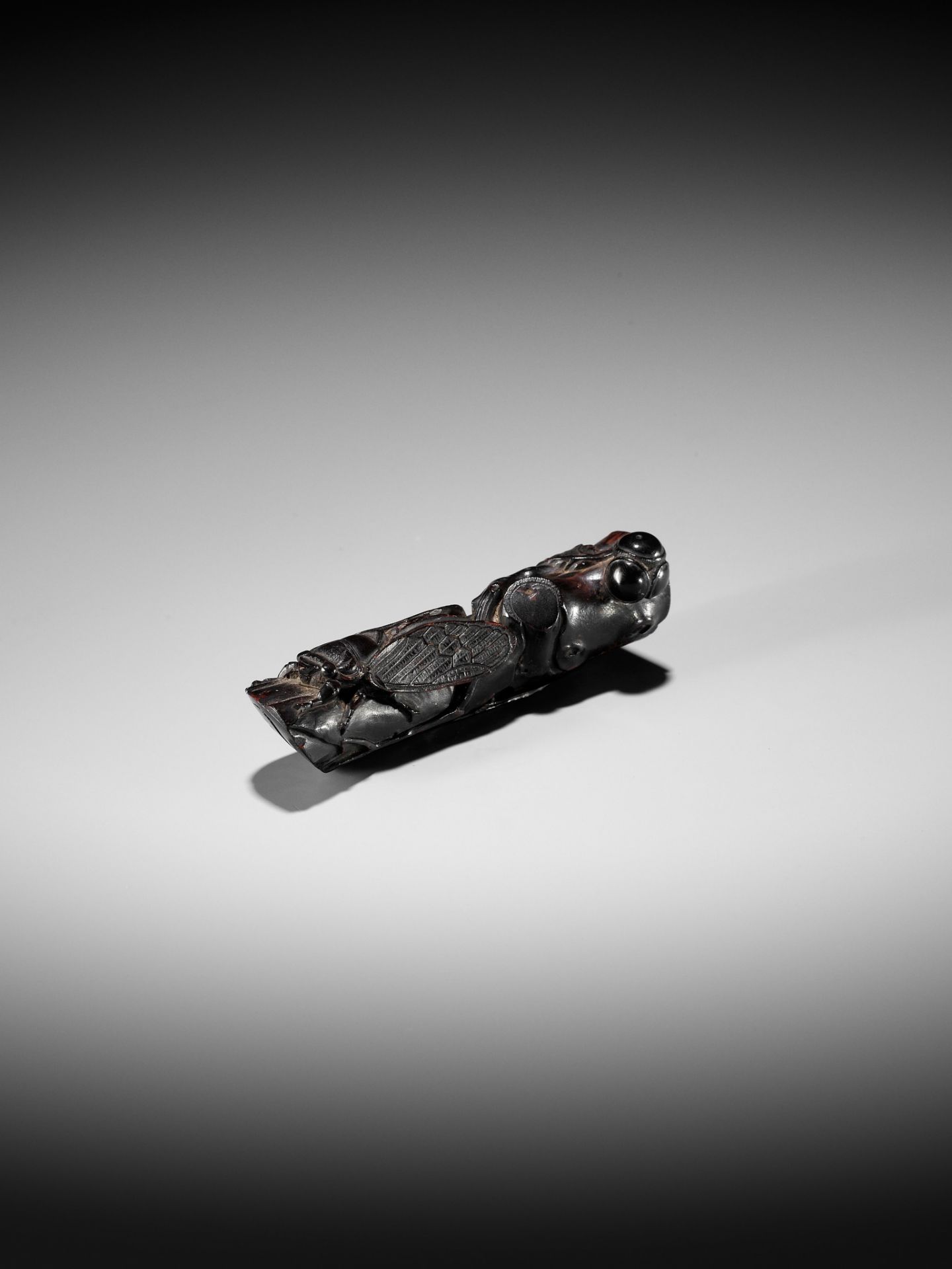 KANMAN: A SUPERB AND LARGE UMIMATSU (SEAPINE) NETSUKE OF A CICADA ON AN OAK BRANCH - Image 13 of 19