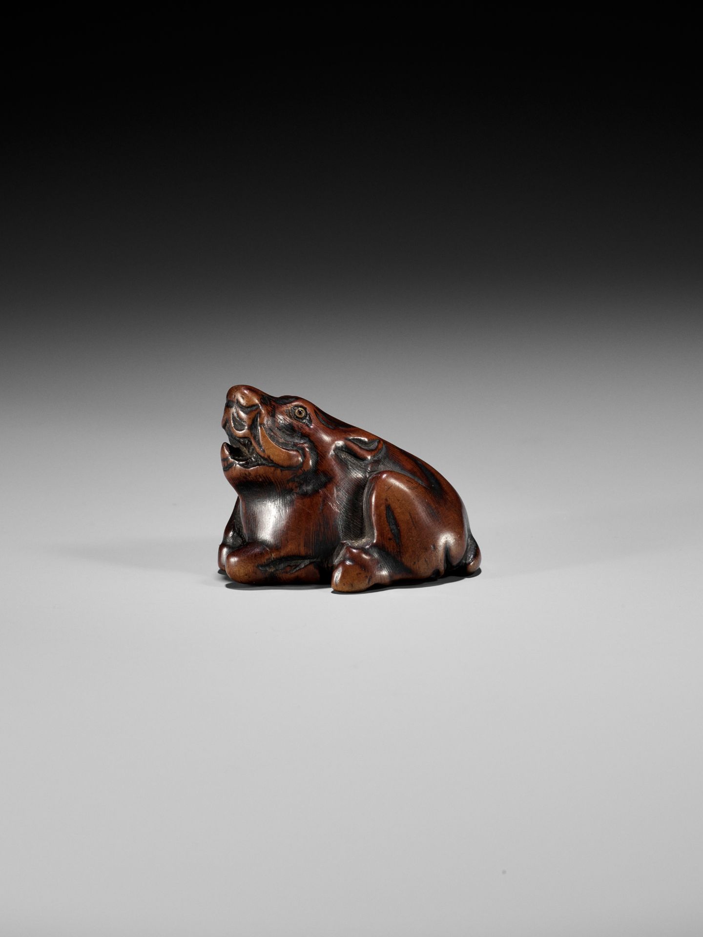 A FINE TANBA SCHOOL WOOD NETSUKE OF A RECUMBENT BOAR - Image 5 of 12