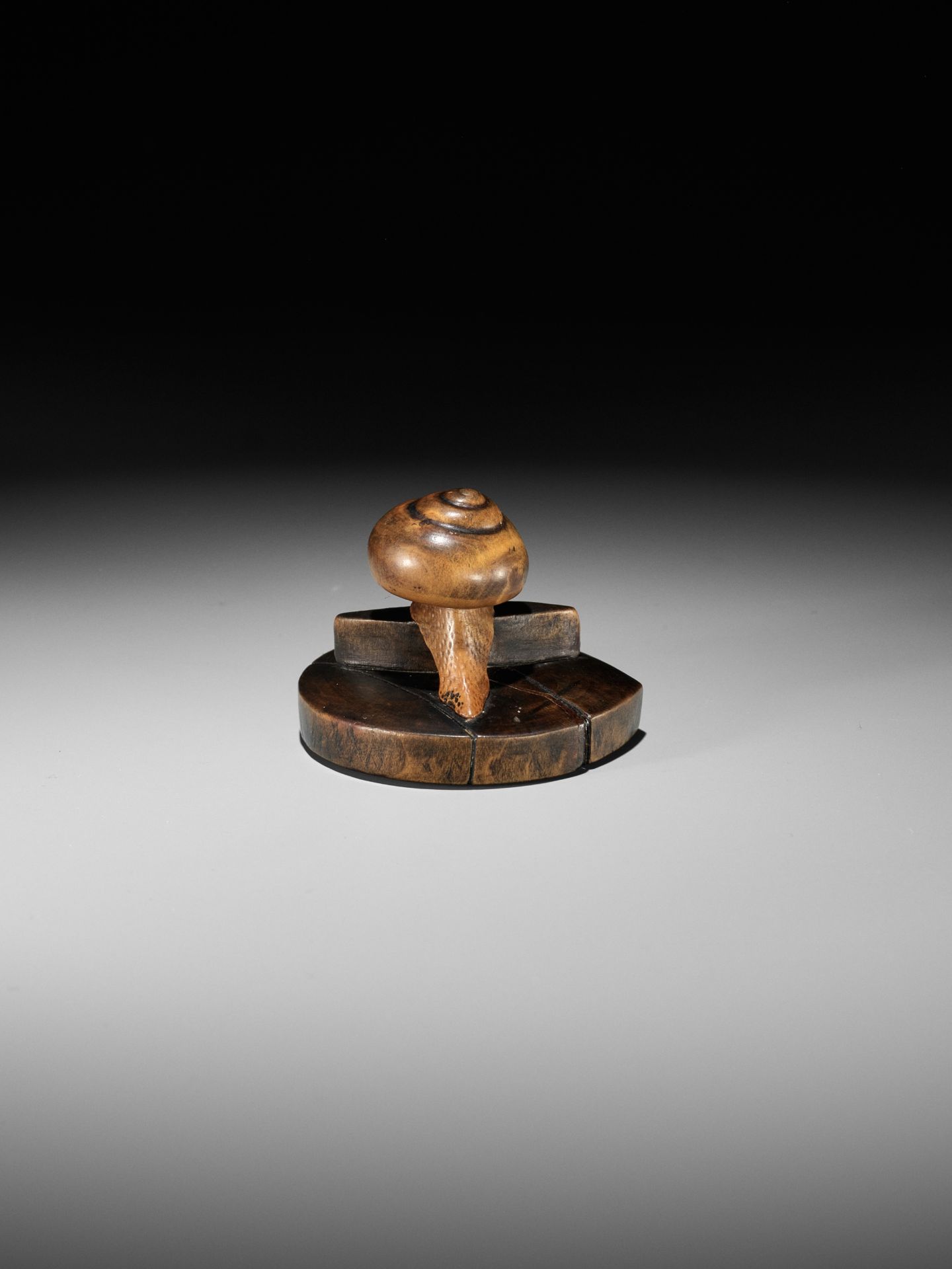 TOMOSHIGE: A RARE WOOD NETSUKE OF A SNAIL ON A WELL BUCKET COVER - Bild 9 aus 13