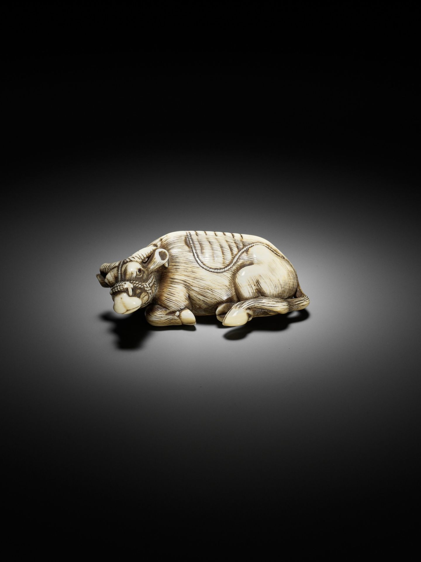 TOMOTADA: A SUPERB IVORY NETSUKE OF A RECUMBENT COW - Bild 15 aus 18