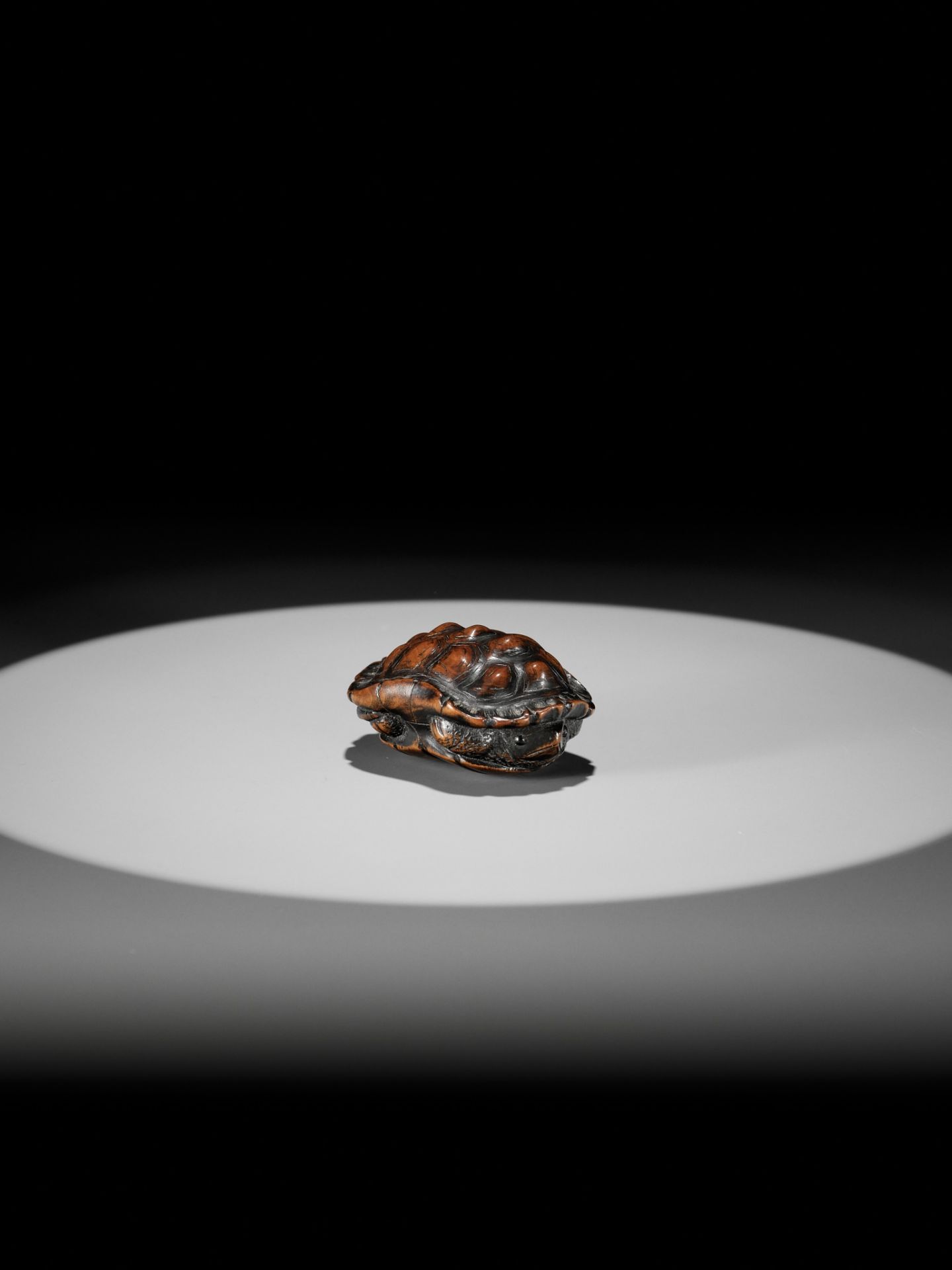 TOYOMASA: A SUPERB WOOD NETSUKE OF A TORTOISE - Image 3 of 18