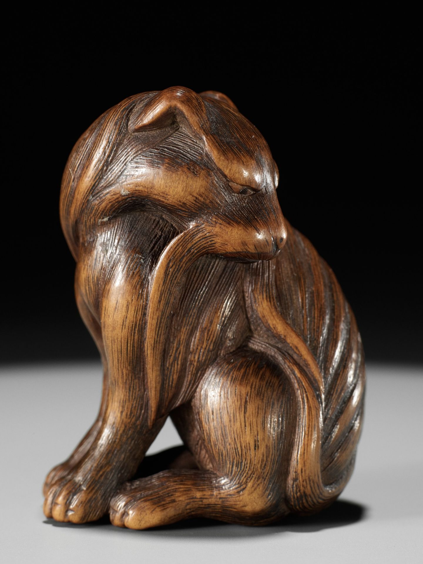 TADAKUNI: A SUPERB AND RARE WOOD NETSUKE OF A JAKONEKO (MUSK CAT) - Bild 18 aus 19