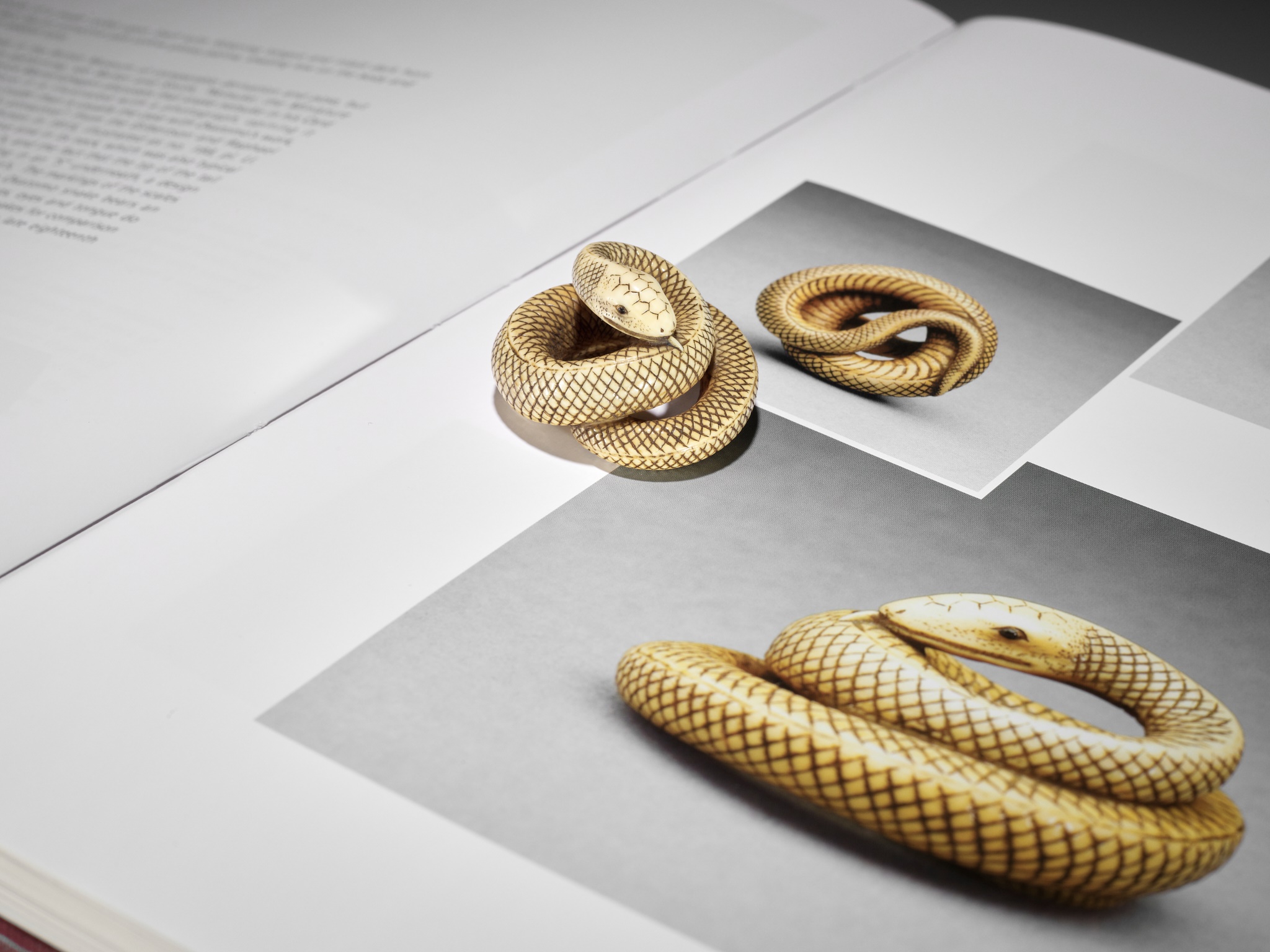 AN IVORY NETSUKE OF A COILED SNAKE, ATTRIBUTED TO OKATOMO - Image 4 of 16