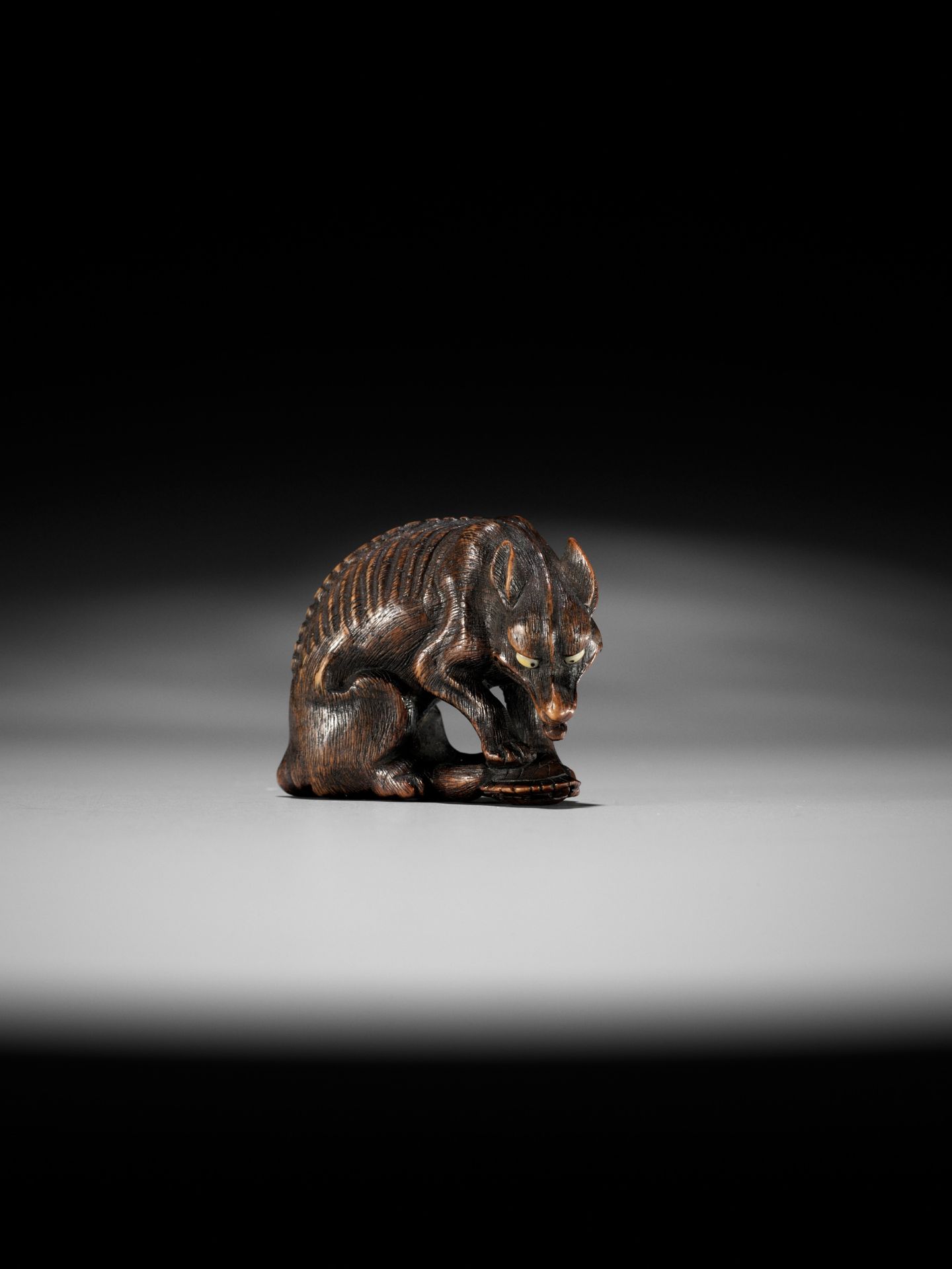 A SUPERB TOYOMASA SCHOOL WOOD NETSUKE OF AN EMACIATED WOLF WITH TORTOISE - Image 9 of 15