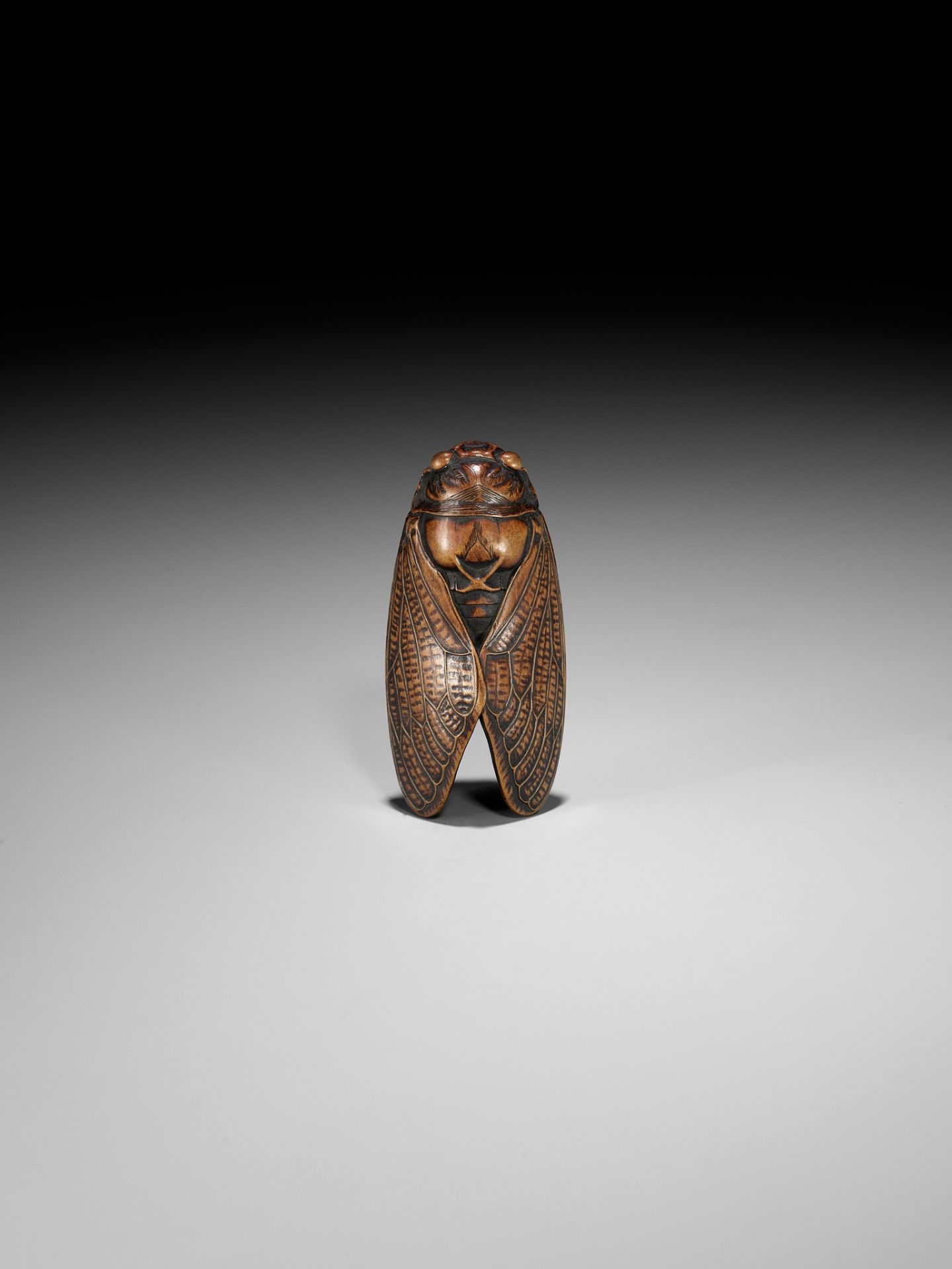 JUGYOKU: A FINE WOOD NETSUKE OF A CICADA - Image 10 of 11