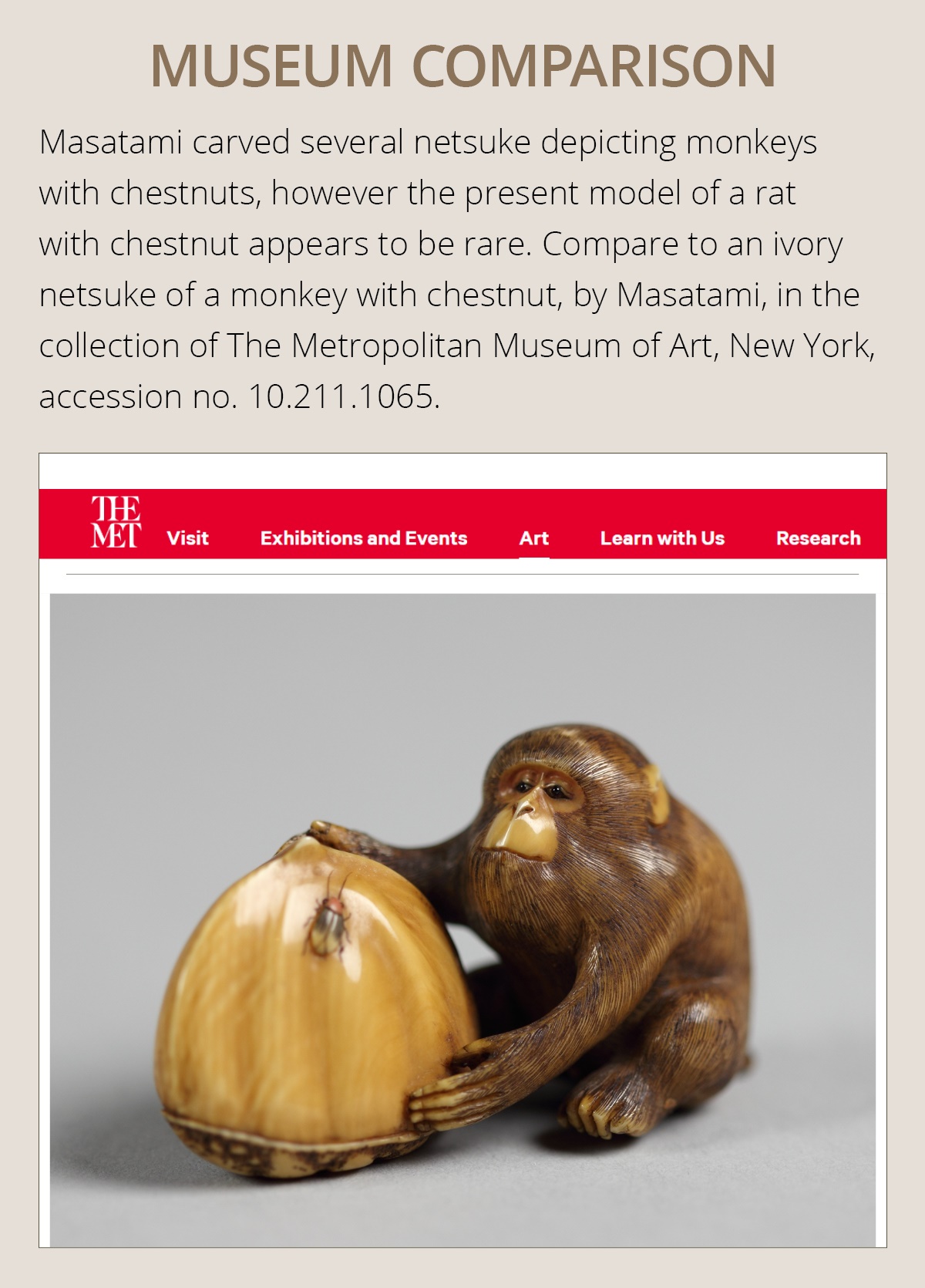 MASATAMI: A VERY FINE IVORY NETSUKE OF A RAT ON CHESTNUT - Image 5 of 12