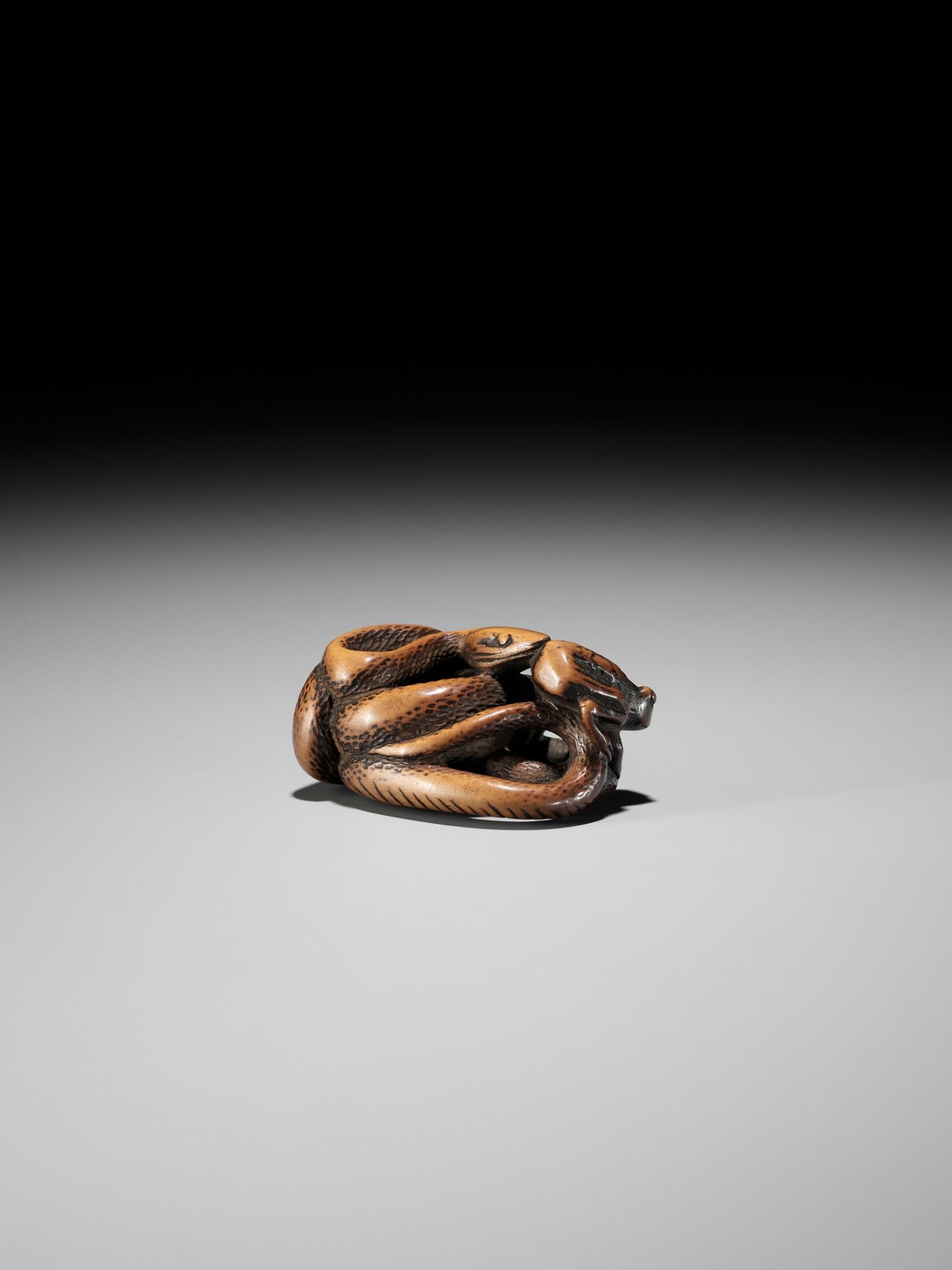AN EARLY WOOD NETSUKE OF A SNAKE AND FROG - Image 10 of 12