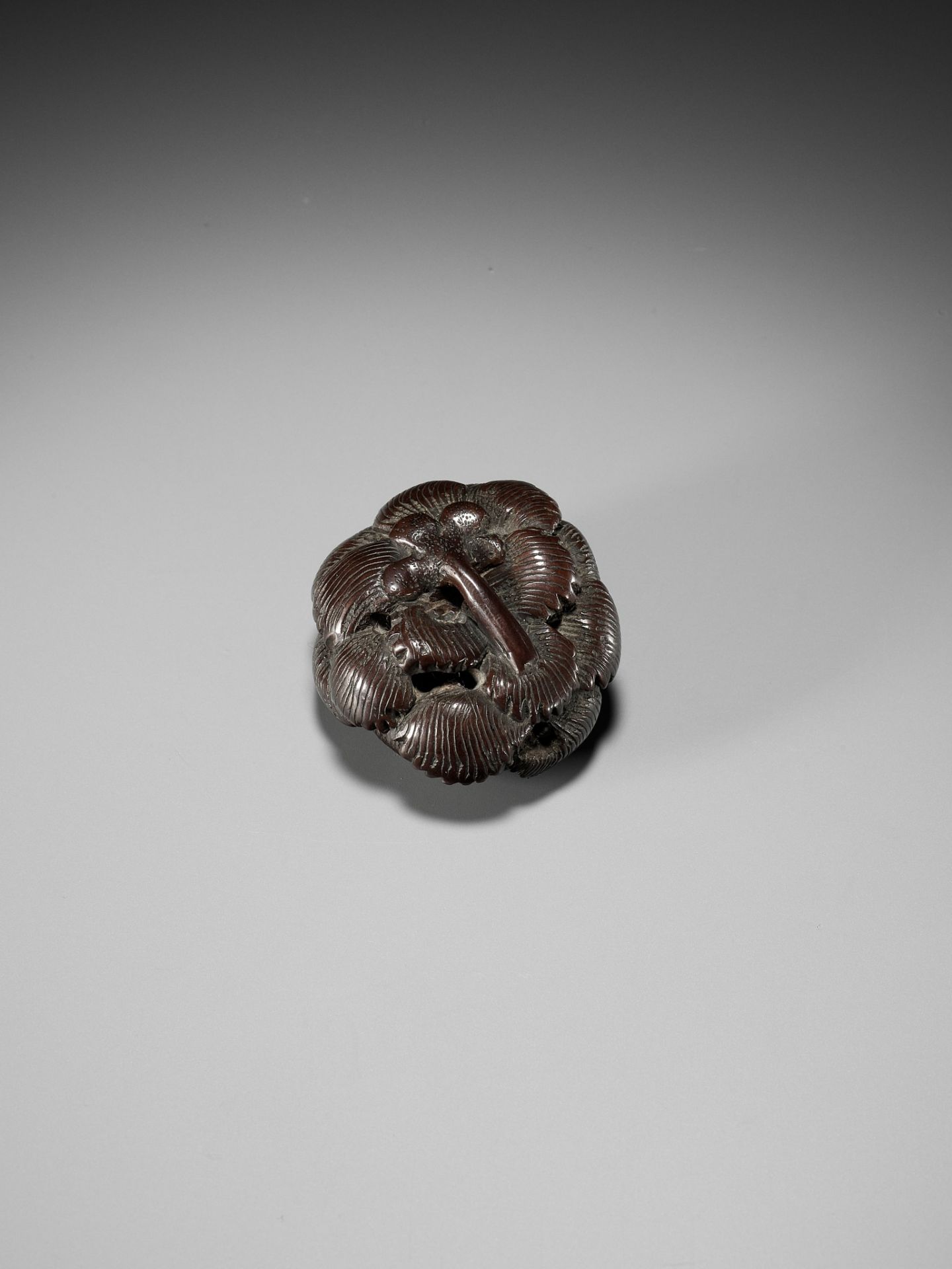 A RARE TOKYO SCHOOL COROZO NUT AND STAG ANTLER NETSUKE OF A FROG INSIDE A CHRYSANTHEMUM - Image 3 of 9