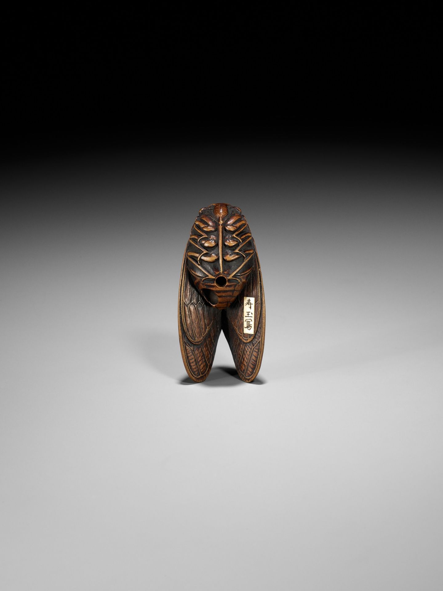 JUGYOKU: A FINE WOOD NETSUKE OF A CICADA - Image 2 of 11