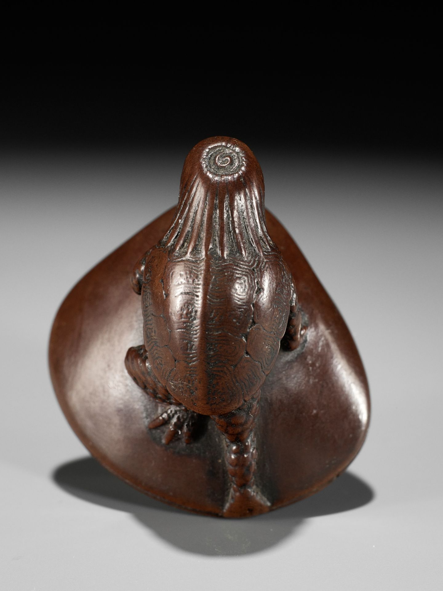 SUKETADA: A FINE WOOD NETSUKE OF A KAPPA TRAPPED BY A CLAM - Image 6 of 16