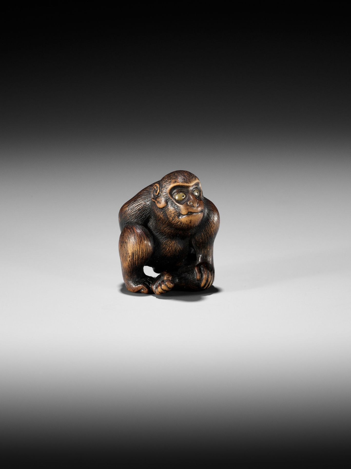 NAITO TOYOMASA: A SUPERB WOOD NETSUKE OF A MONKEY SCRATCHING ITSELF - Bild 11 aus 17