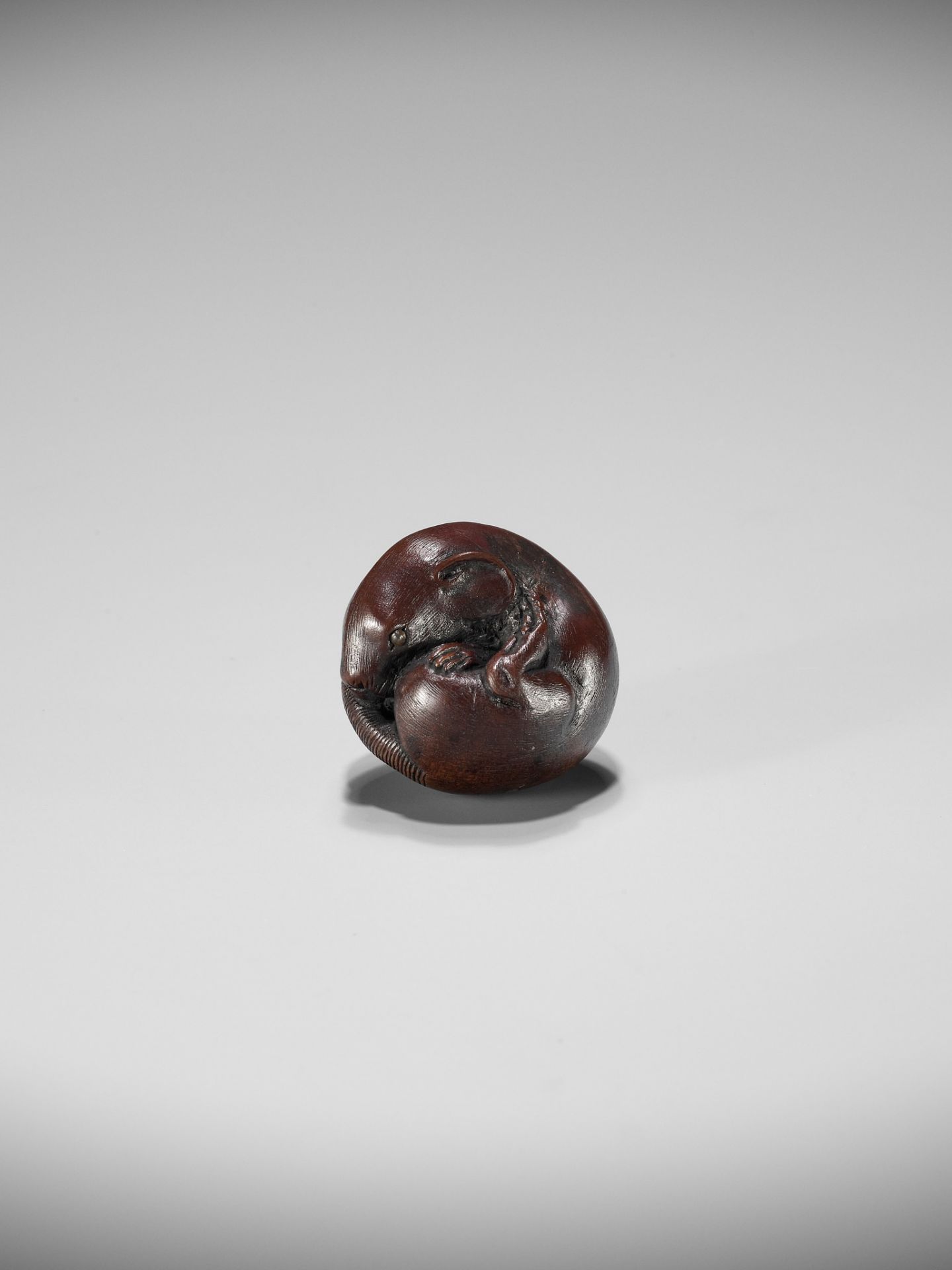 YOSHIHISA: A FINE WOOD NETSUKE OF A COILED RAT - Bild 2 aus 11