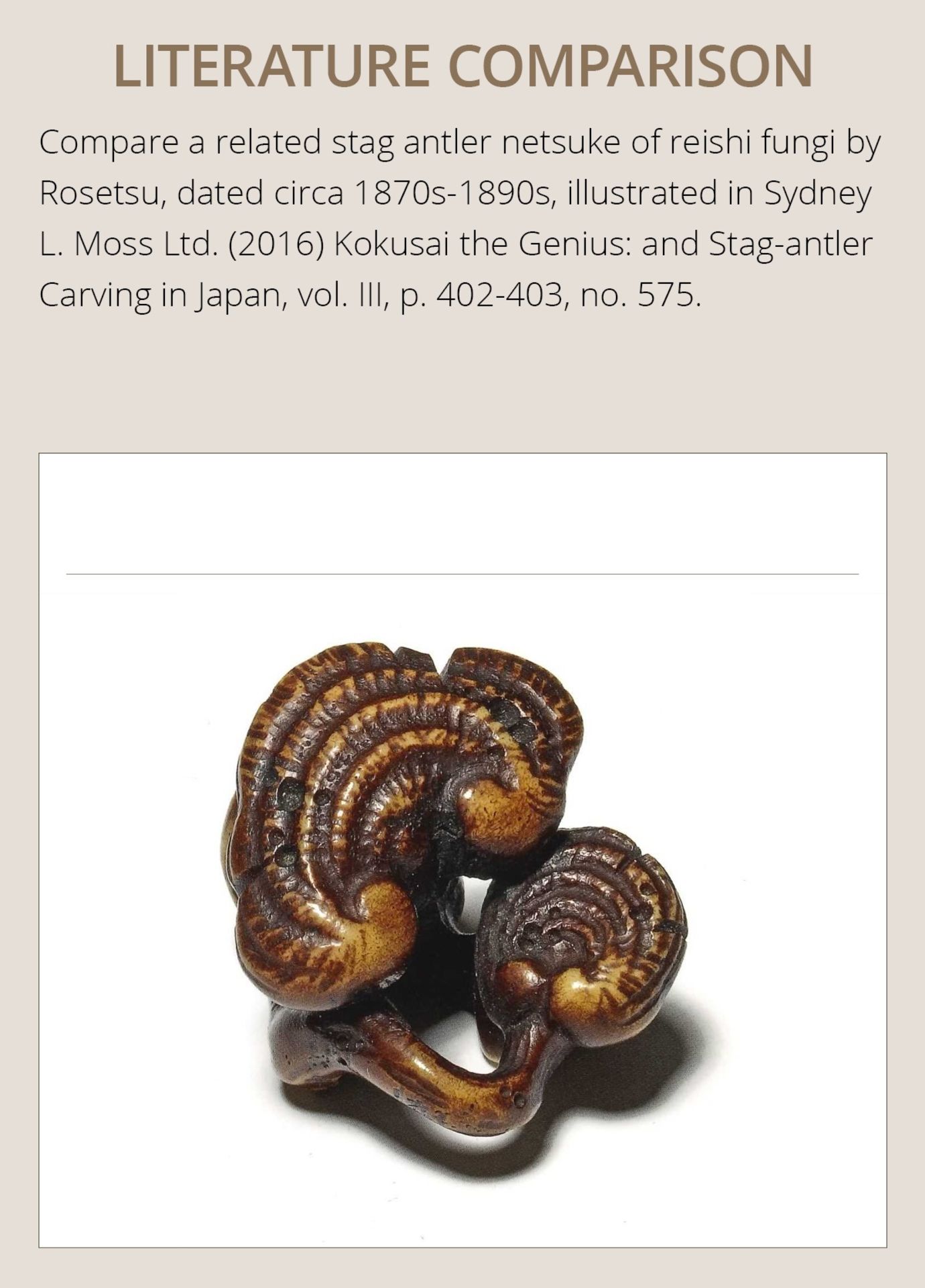 A STAG ANTLER NETSUKE OF REISHI FUNGI - Image 4 of 8