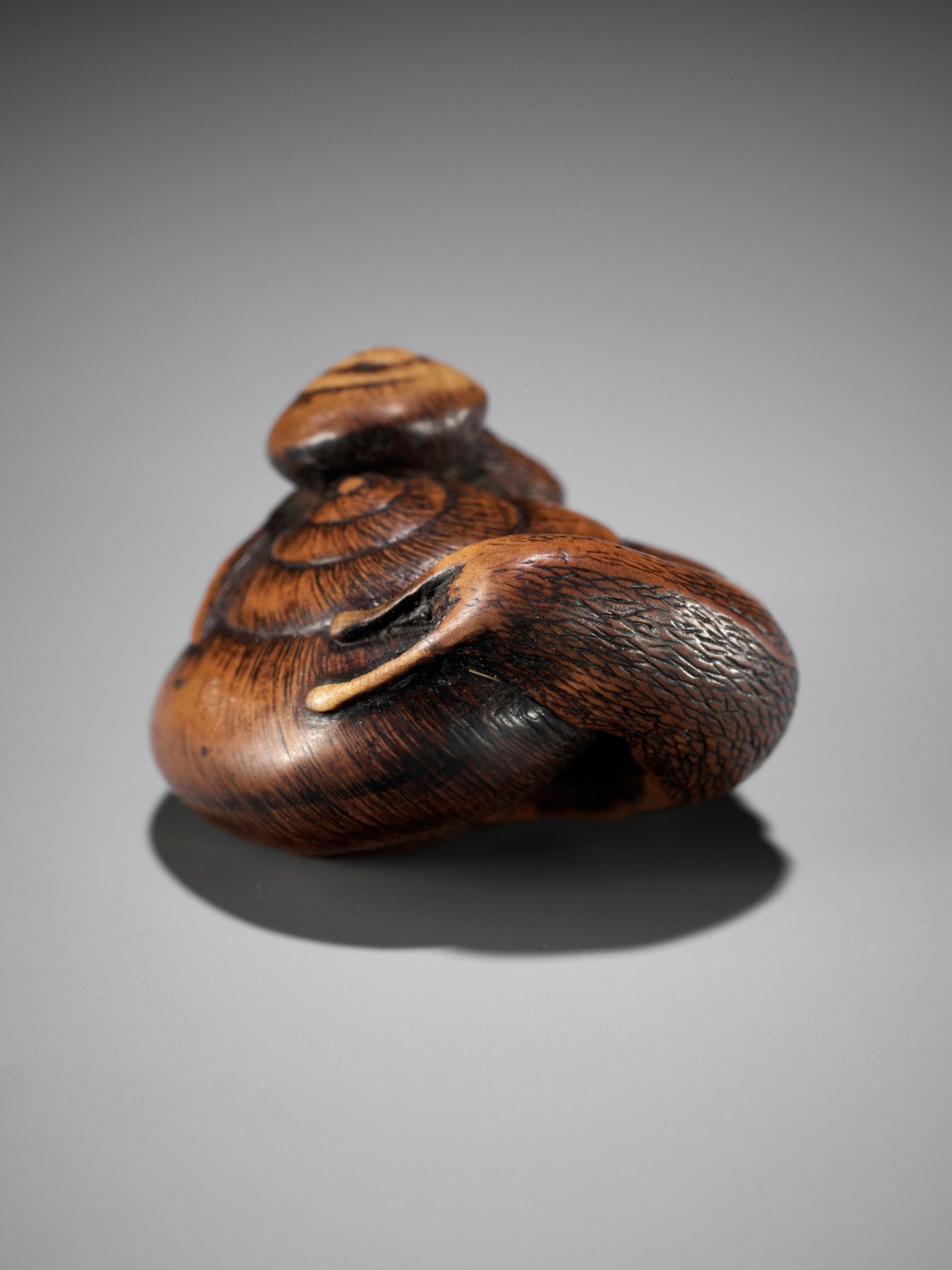 MASAKAZU: A RARE YAMADA SCHOOL WOOD NETSUKE OF TWO SNAILS - Image 6 of 13