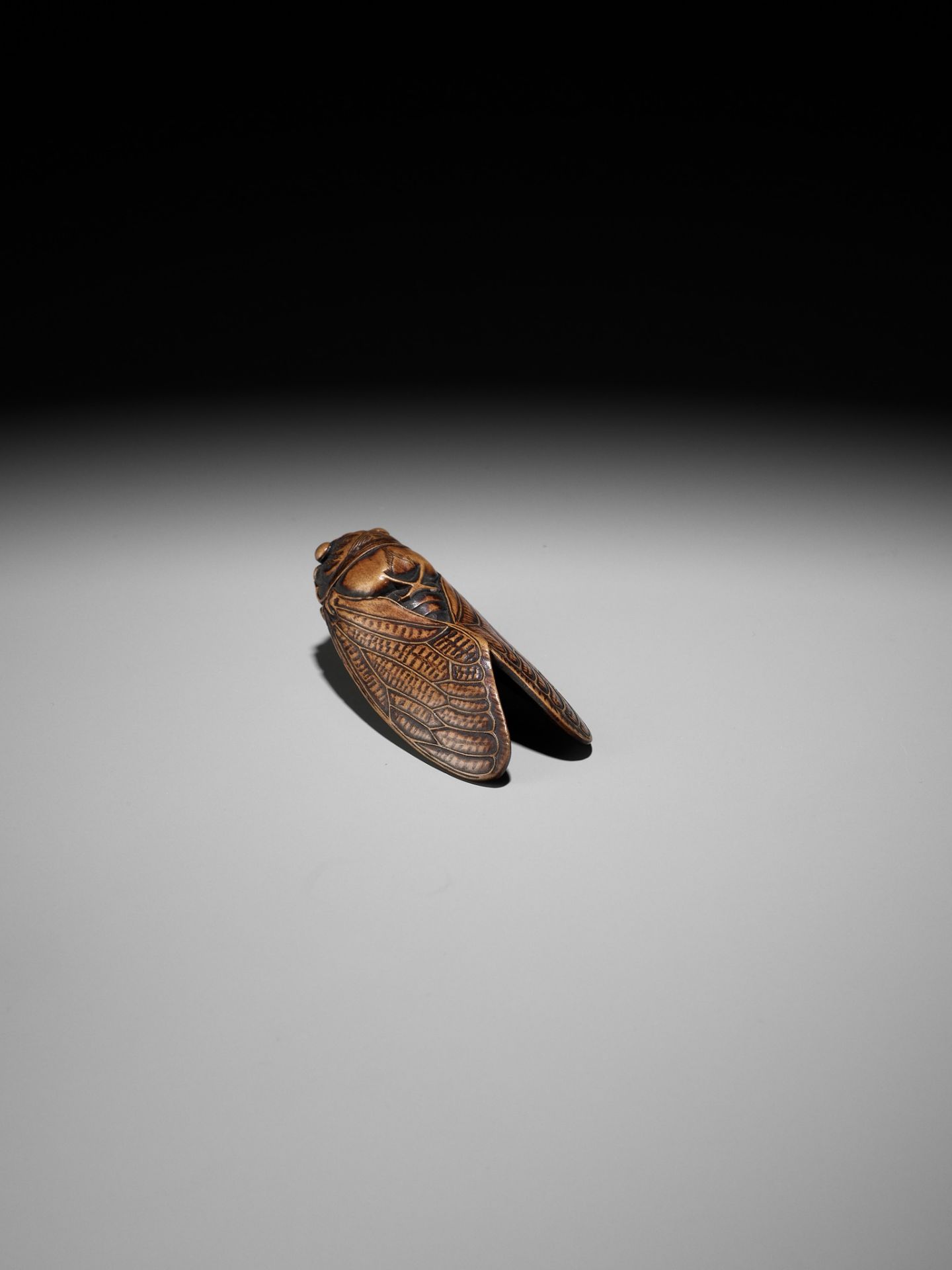 JUGYOKU: A FINE WOOD NETSUKE OF A CICADA - Image 8 of 11