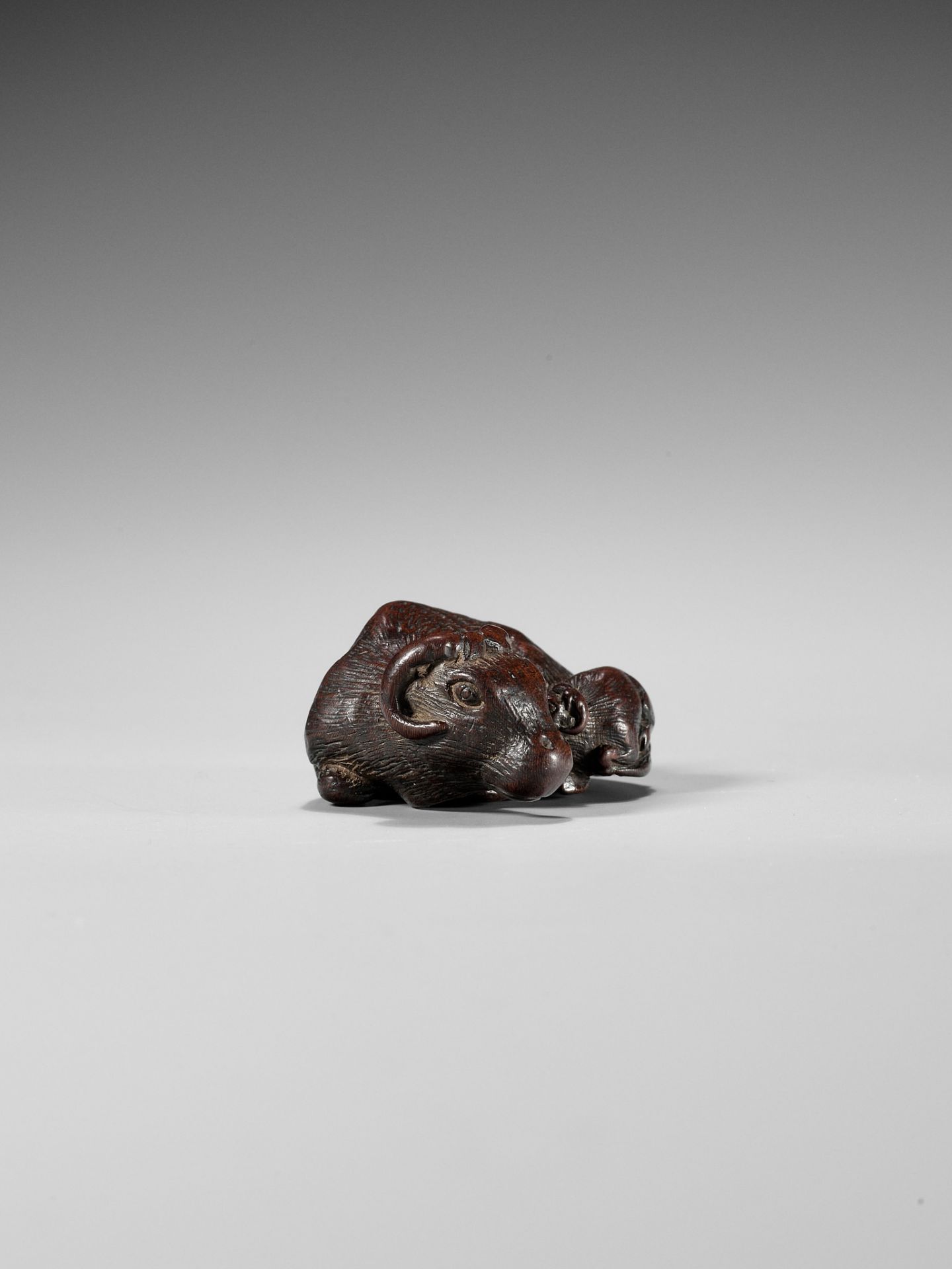 A SUPERB AND VERY RARE WOOD NETSUKE OF AN OX AND CALF, ATTRIBUTED TO TAMETAKA - Image 11 of 12