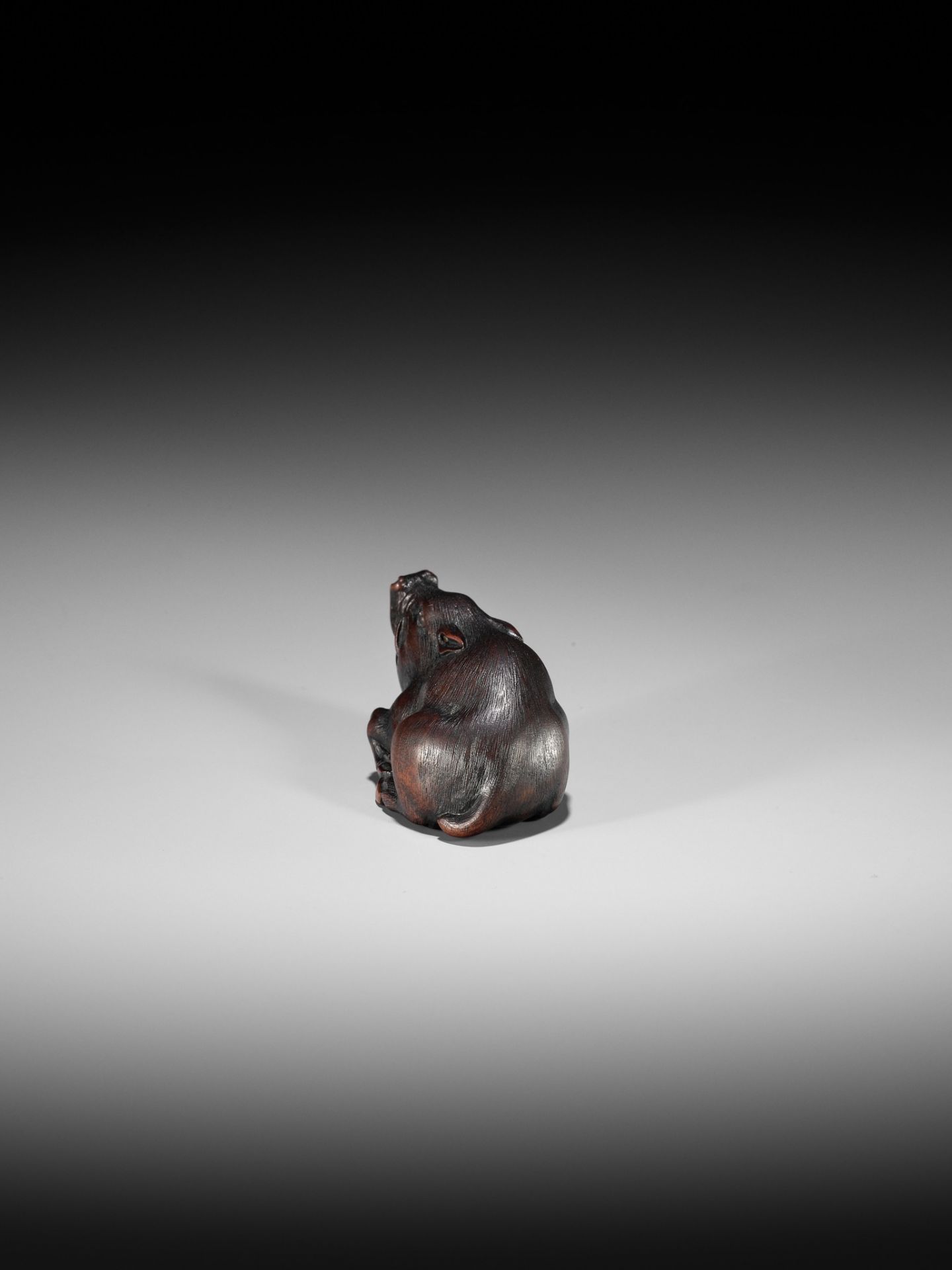 ITTAN: A SUPERB WOOD NETSUKE OF A WILD BOAR - Bild 9 aus 14