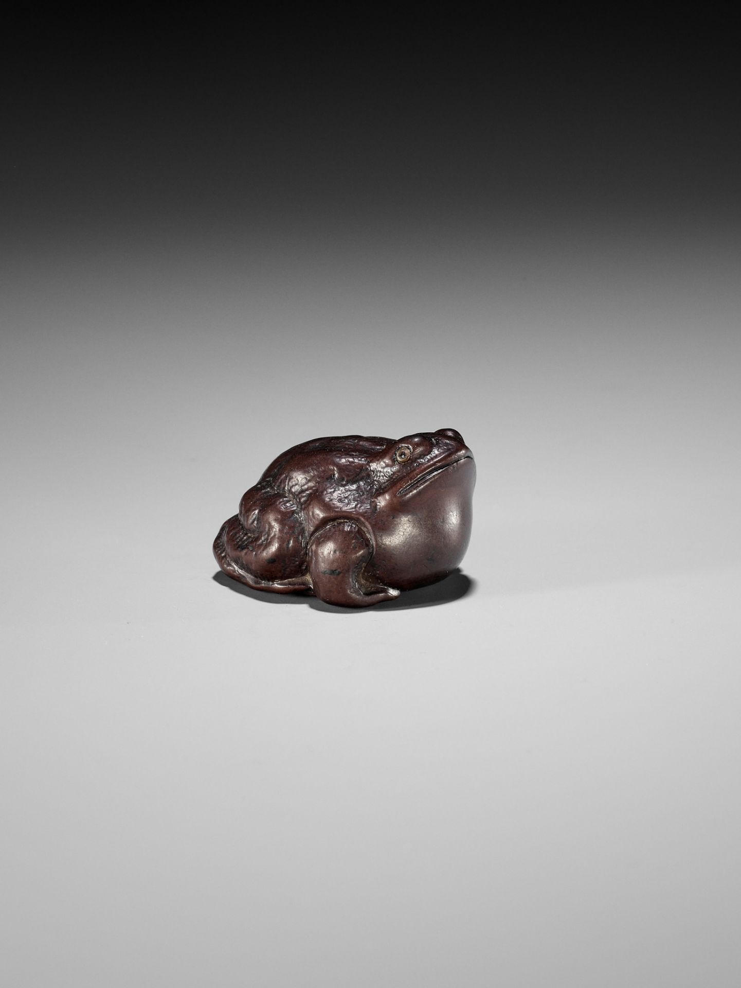 MINKO: A DARK WOOD NETSUKE OF A FAT TOAD - Bild 9 aus 12