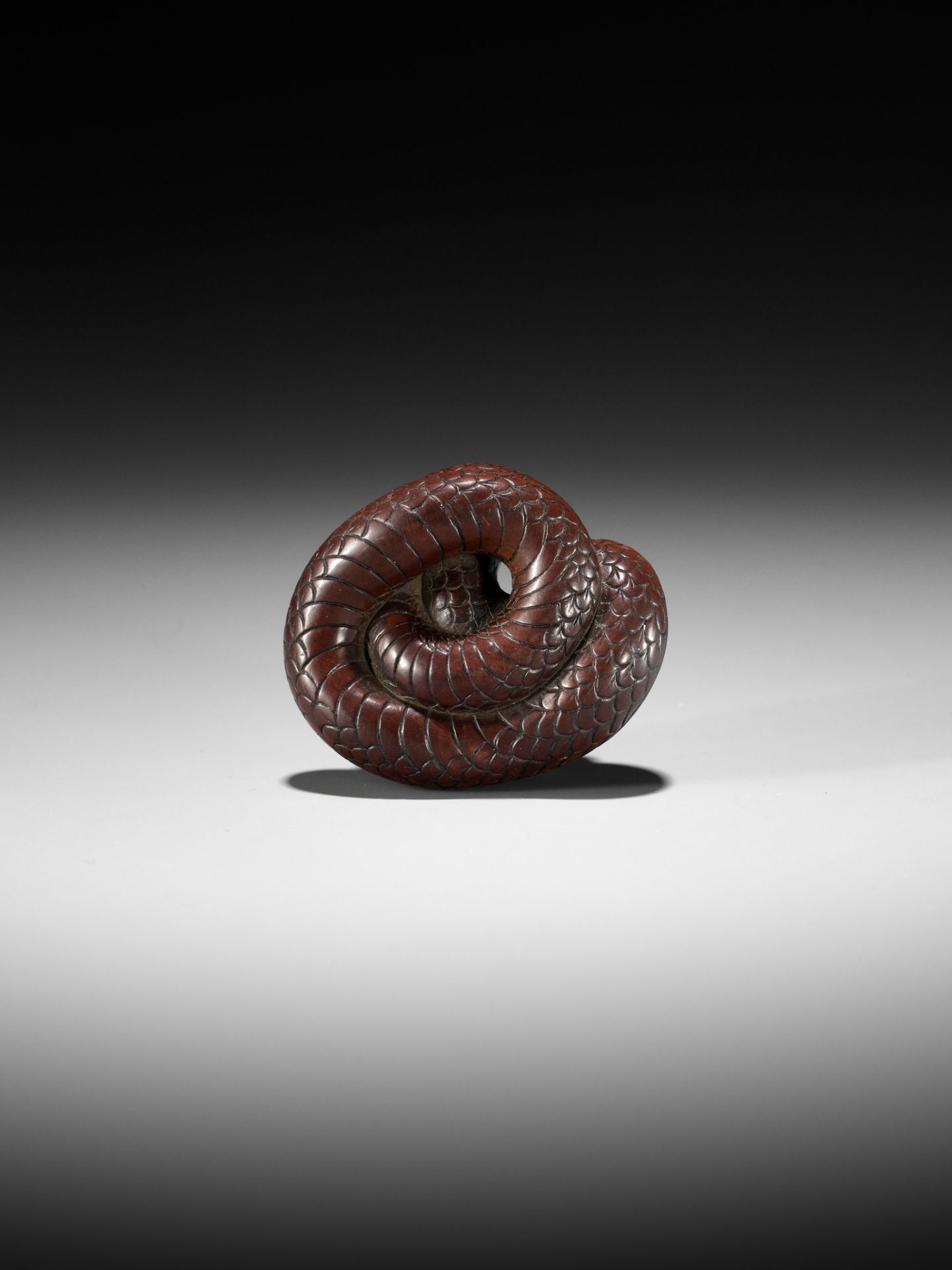 AN EXCEPTIONAL AND LARGE WOOD NETSUKE OF A SNAKE, ATTRIBUTED TO OKATOMO - Bild 6 aus 19
