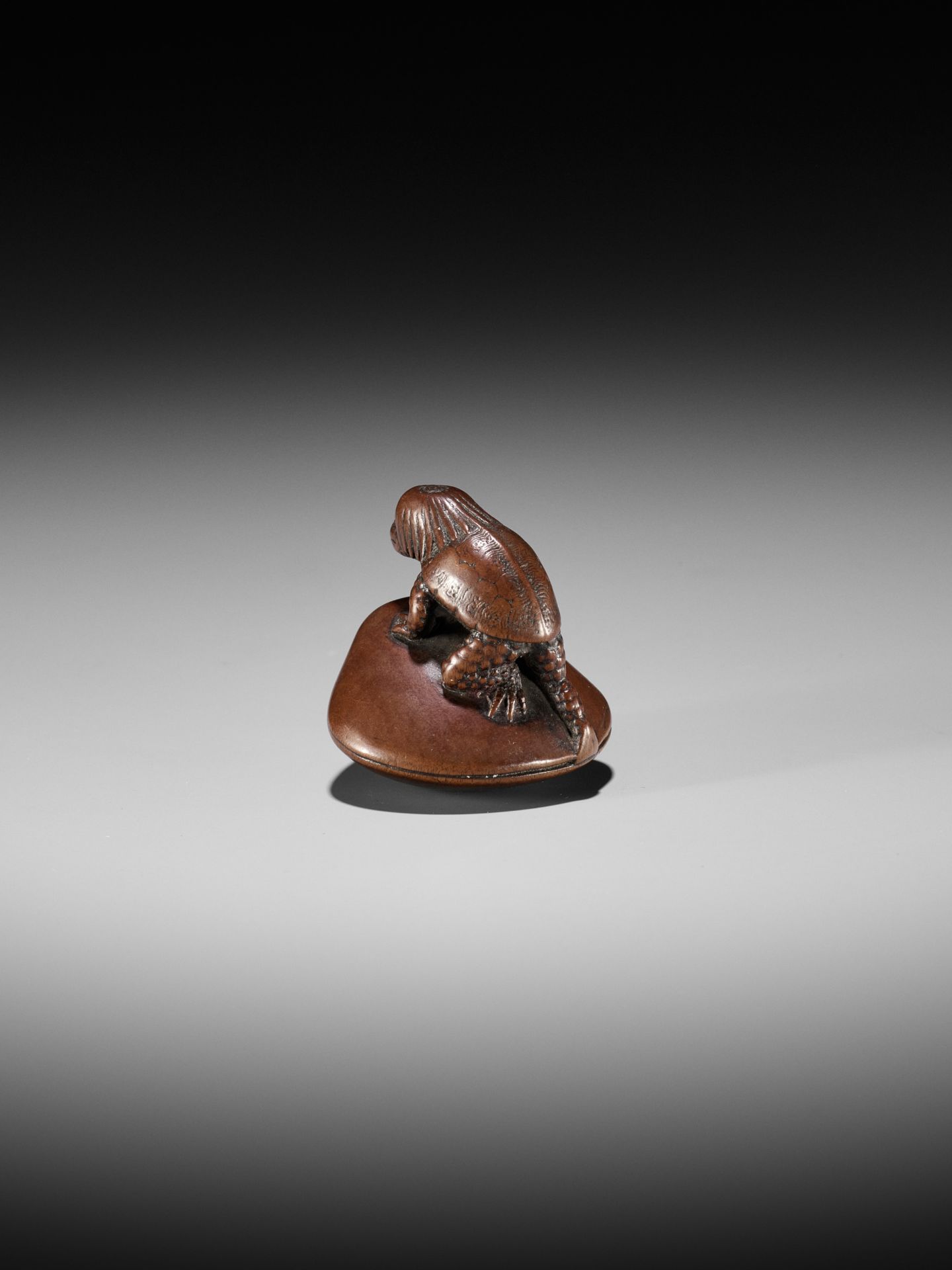 SUKETADA: A FINE WOOD NETSUKE OF A KAPPA TRAPPED BY A CLAM - Image 3 of 16