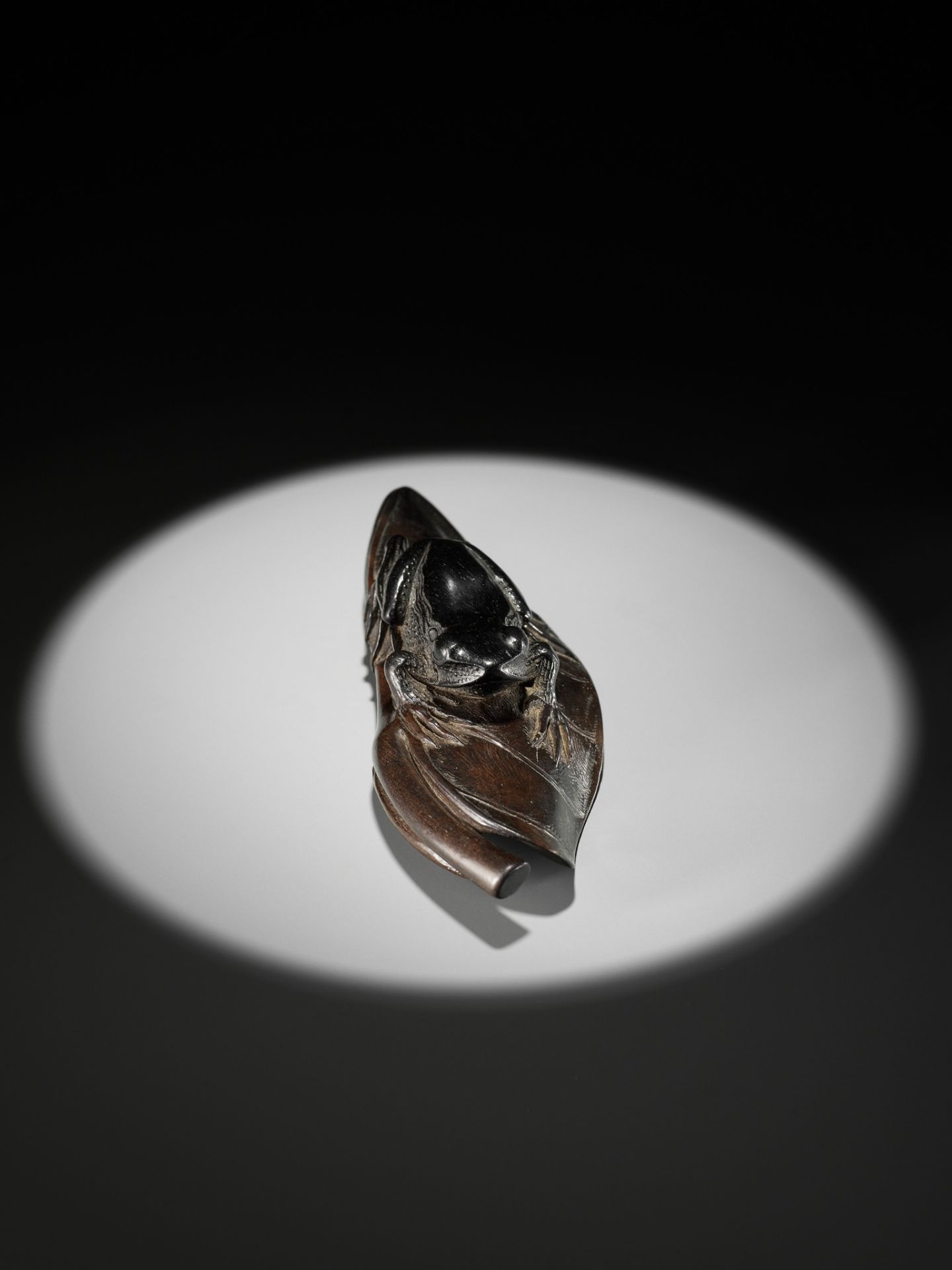KANMAN: AN EXCEPTIONAL AND LARGE KUROGAKI (BLACK PERSIMMON) WOOD NETSUKE OF A FROG ON A LOTUS LEAF - Image 16 of 20