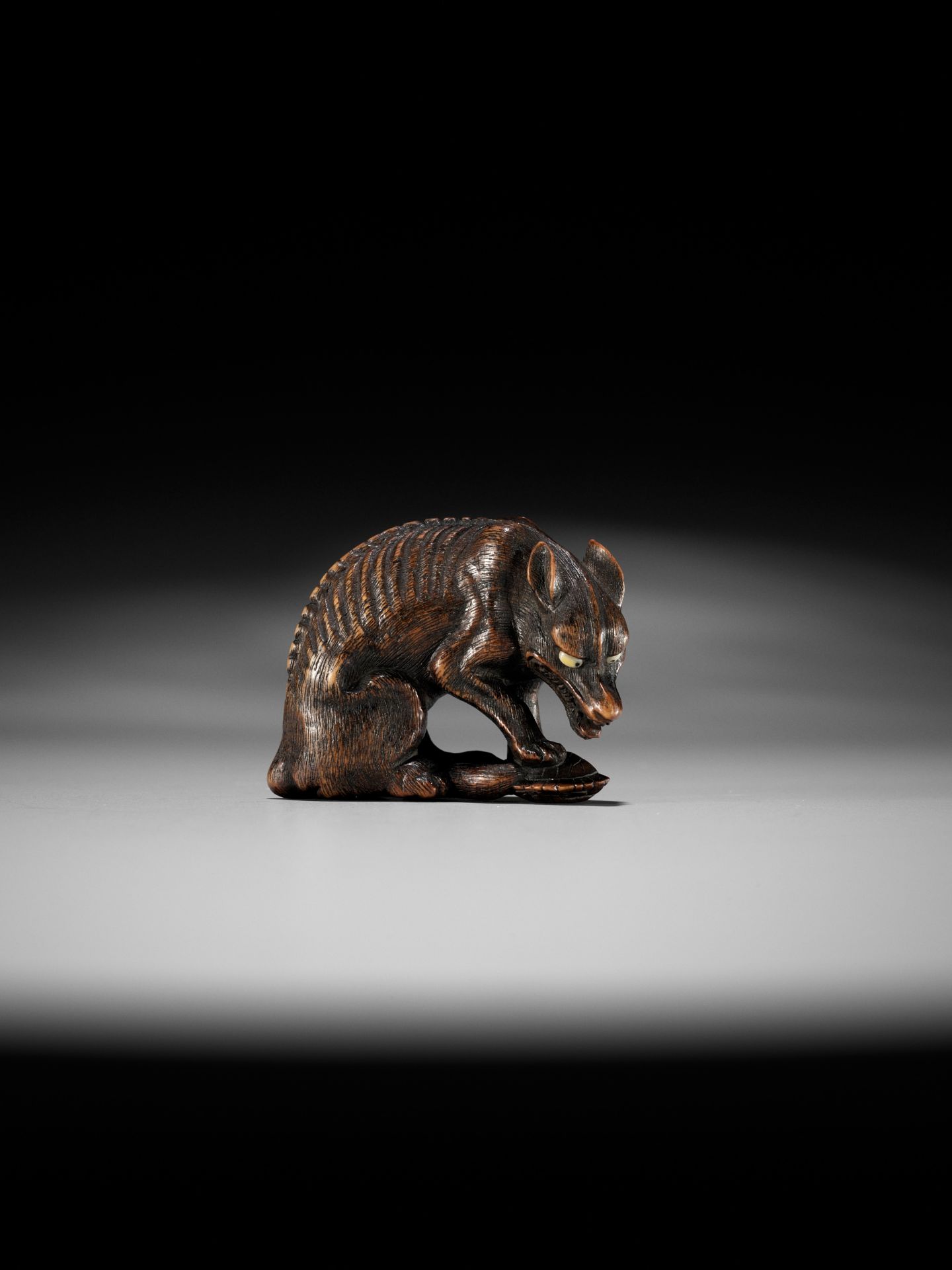 A SUPERB TOYOMASA SCHOOL WOOD NETSUKE OF AN EMACIATED WOLF WITH TORTOISE - Image 8 of 15