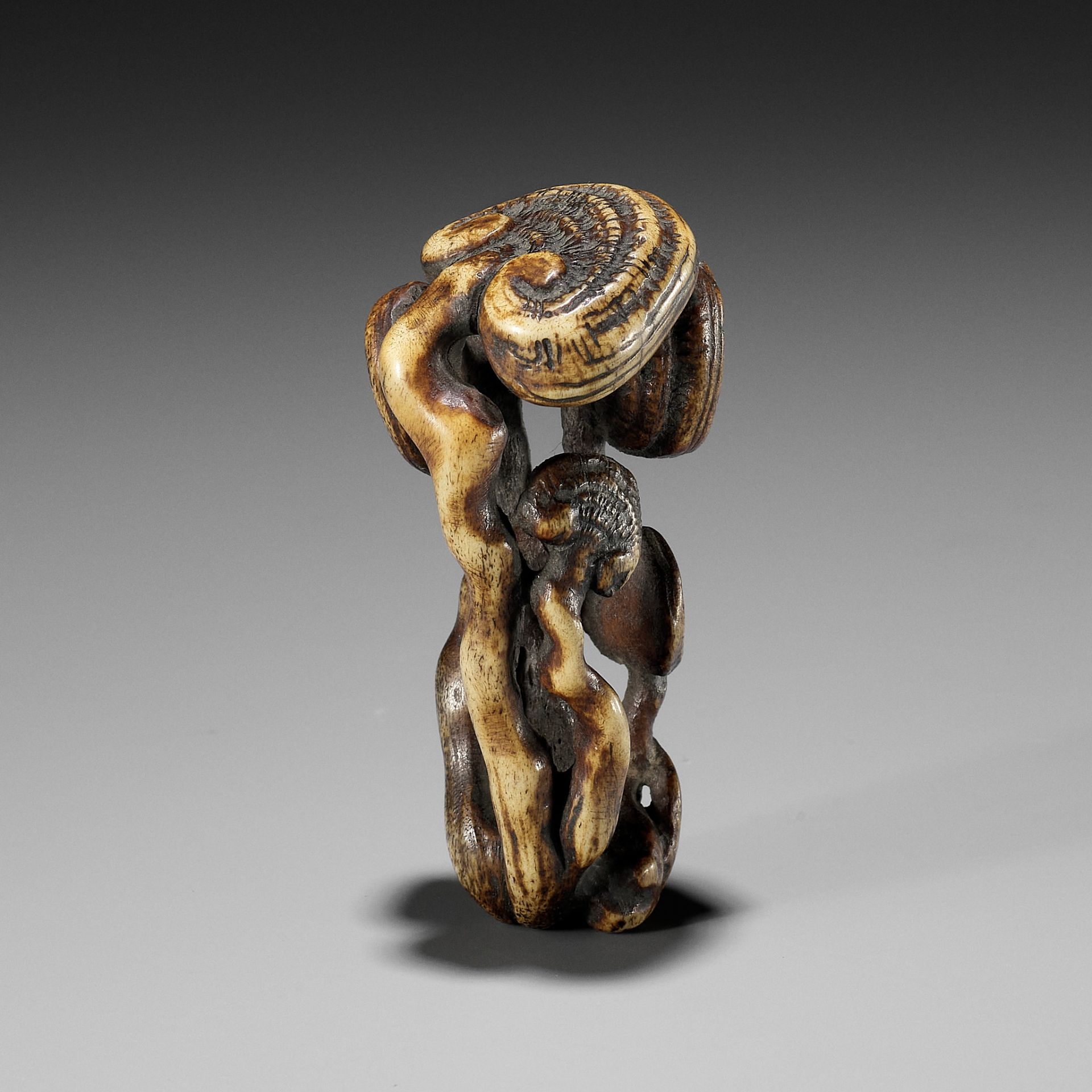 A STAG ANTLER NETSUKE OF REISHI FUNGI