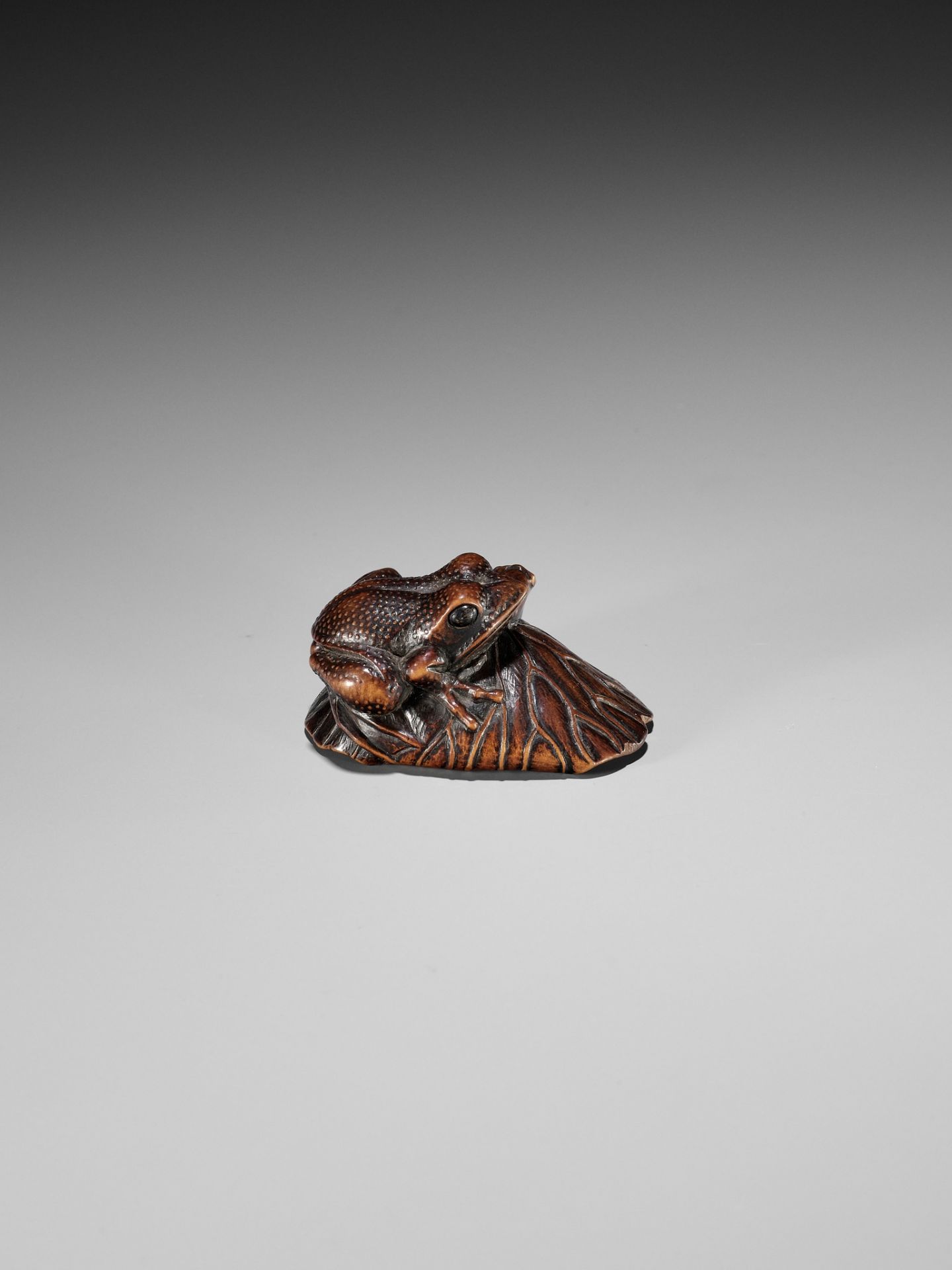 A FINE WOOD NETSUKE OF A TOAD ON A LOTUS LEAF - Image 6 of 9