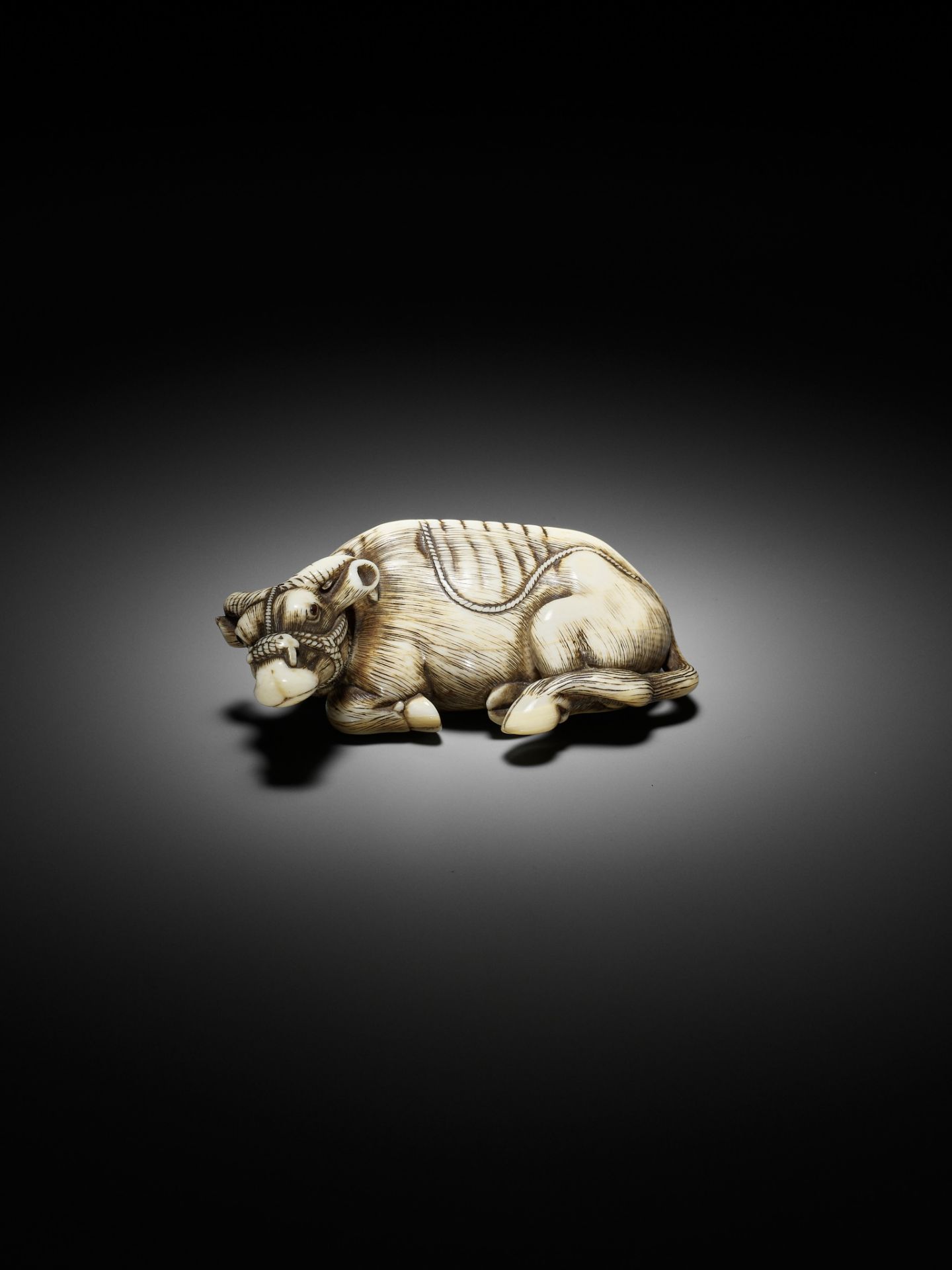 TOMOTADA: A SUPERB IVORY NETSUKE OF A RECUMBENT COW - Bild 14 aus 18