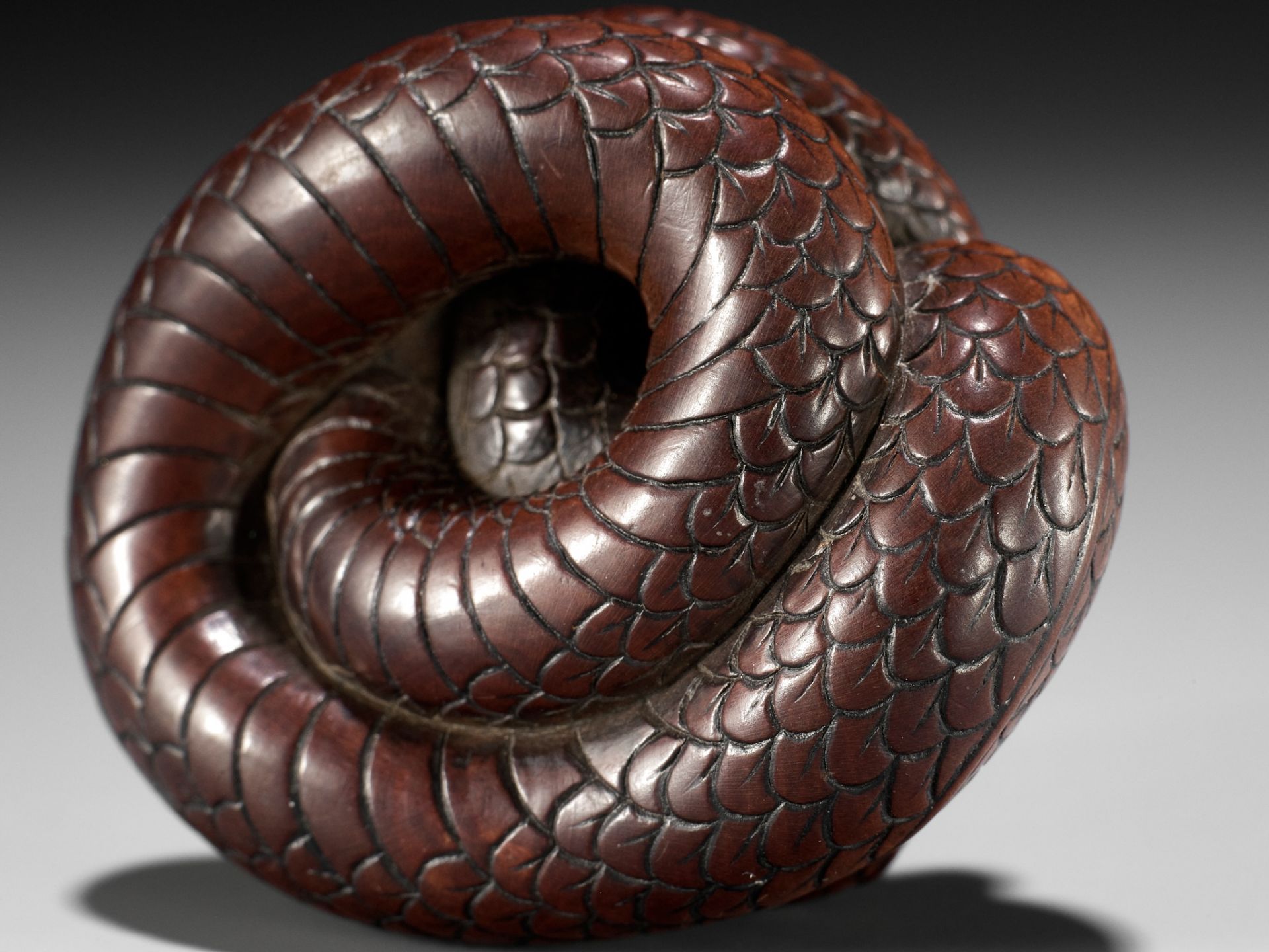AN EXCEPTIONAL AND LARGE WOOD NETSUKE OF A SNAKE, ATTRIBUTED TO OKATOMO - Image 7 of 19