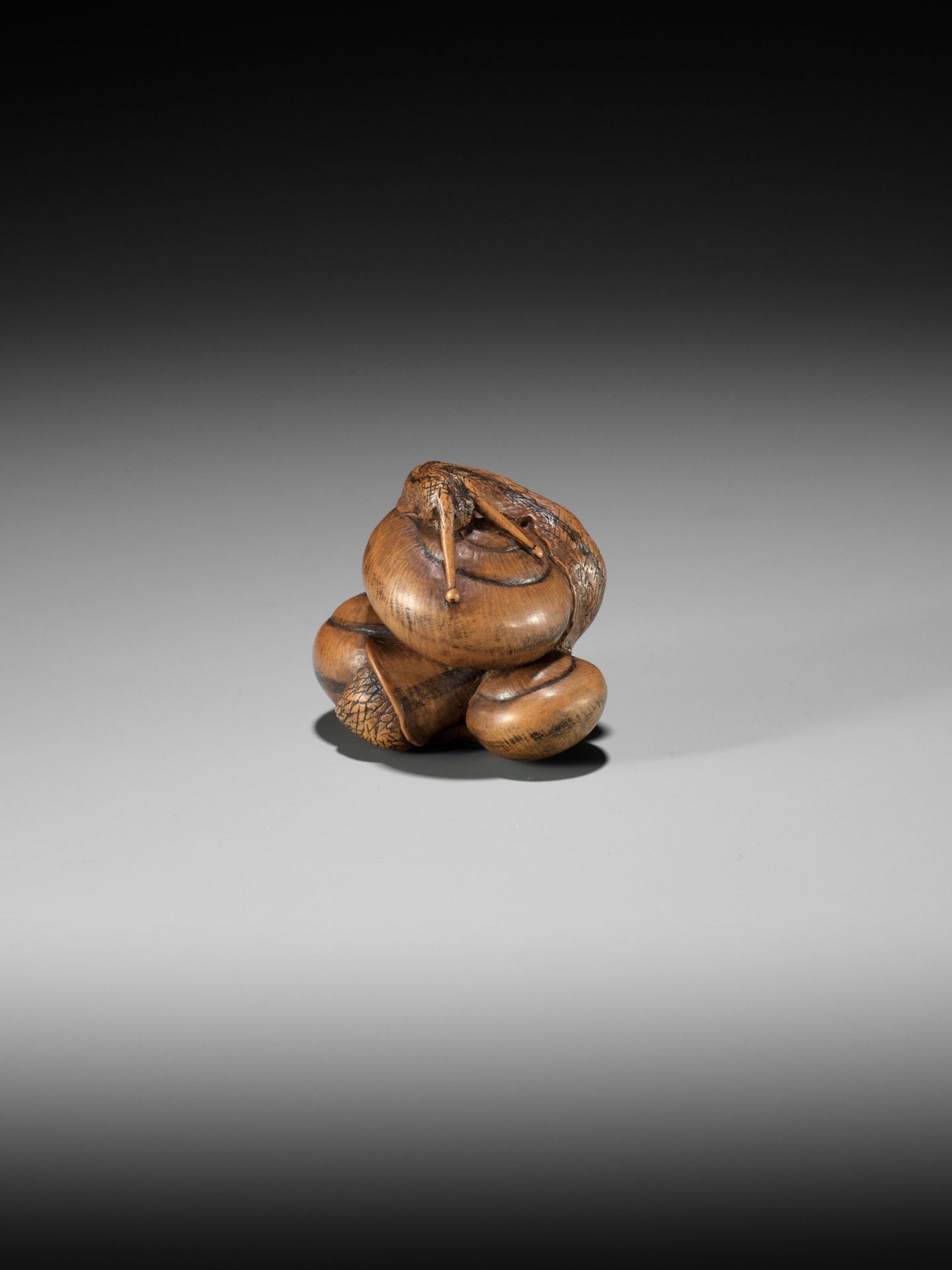 HIDEHARU: A SUPERB WOOD NETSUKE OF THREE SNAILS - Bild 10 aus 15