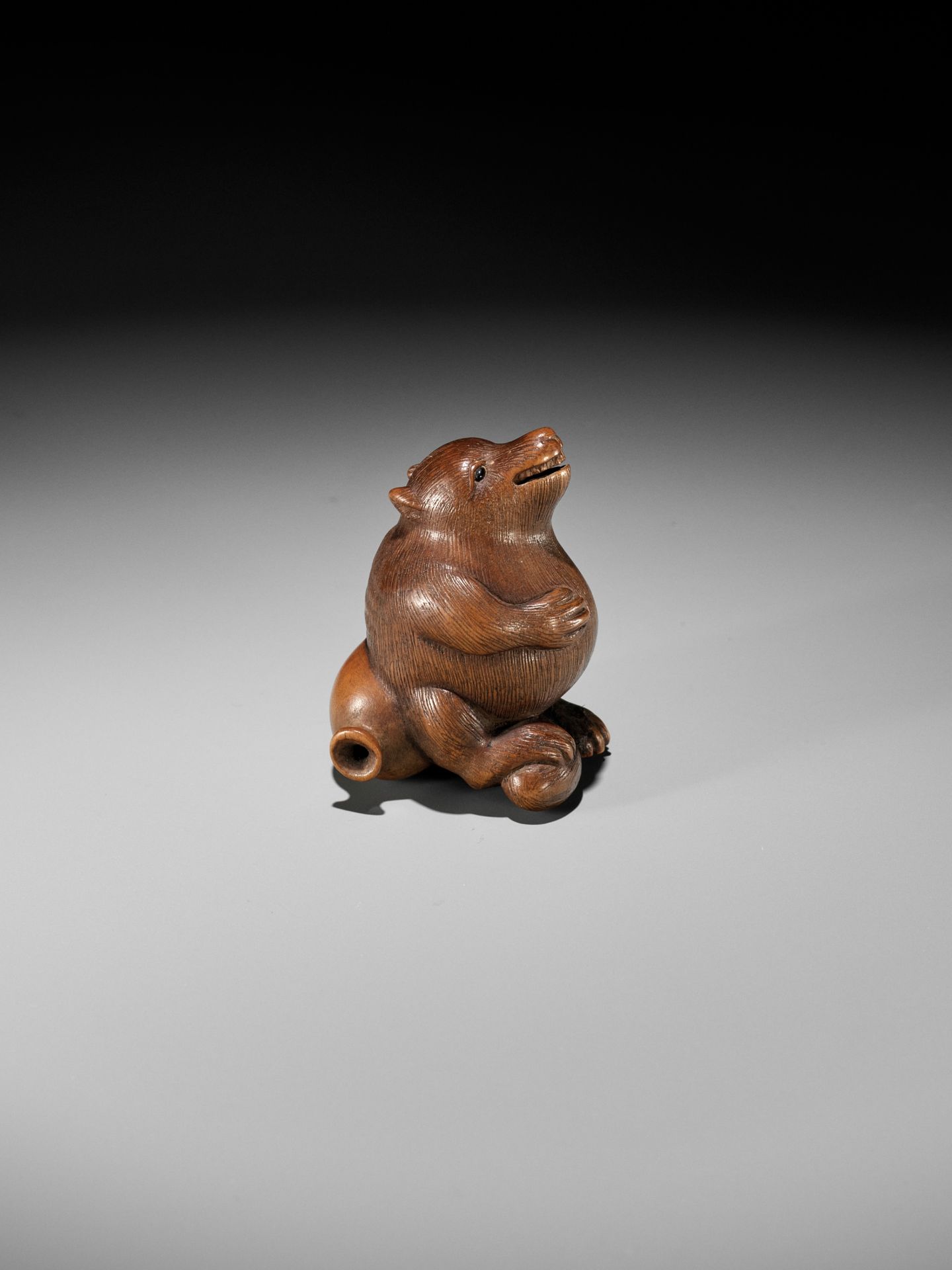 RANSEN: A FINE WOOD NETSUKE OF A DRUNKEN TANUKI HARA NO TSUZUMI - Image 8 of 14