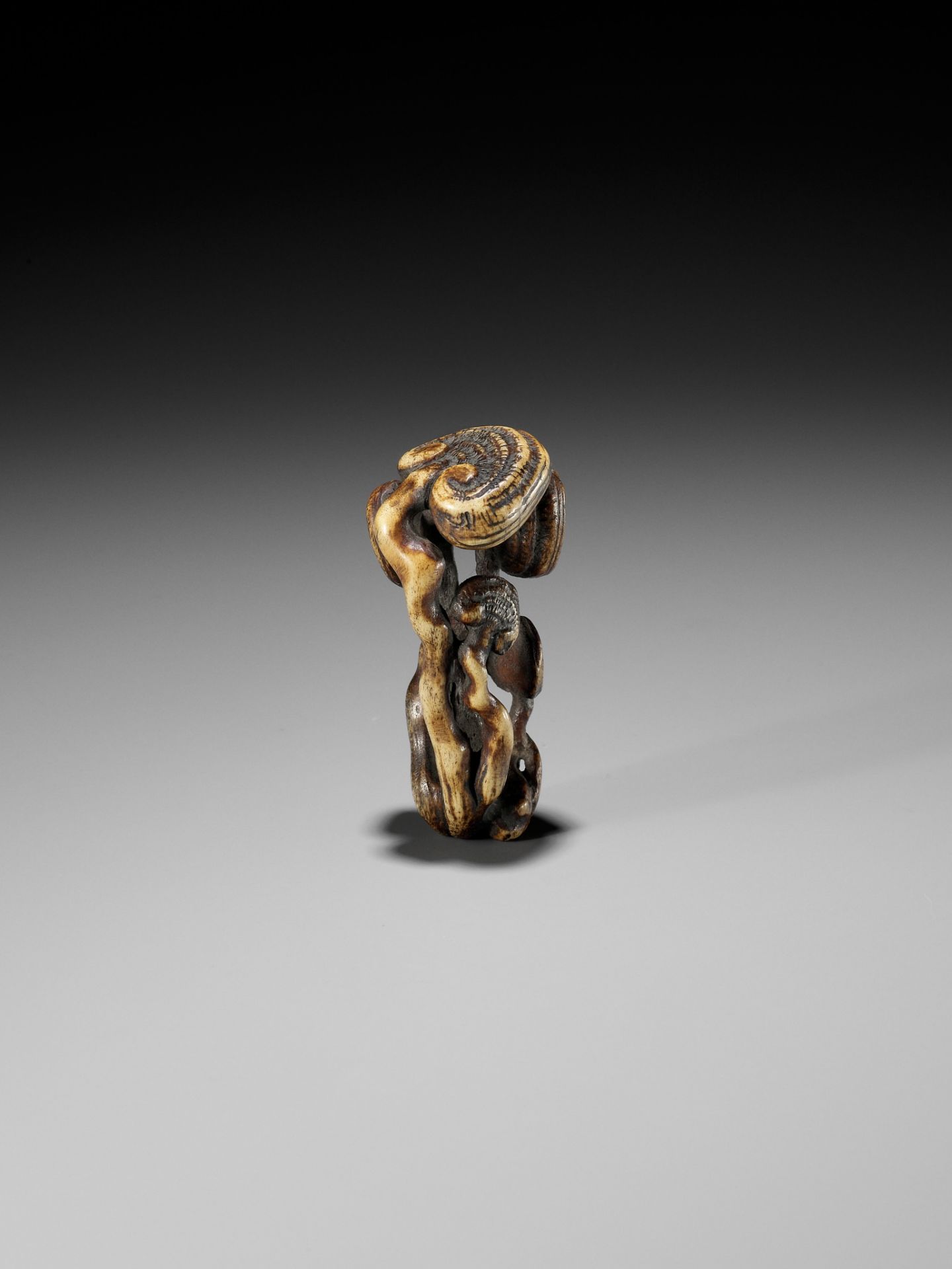 A STAG ANTLER NETSUKE OF REISHI FUNGI - Image 7 of 8