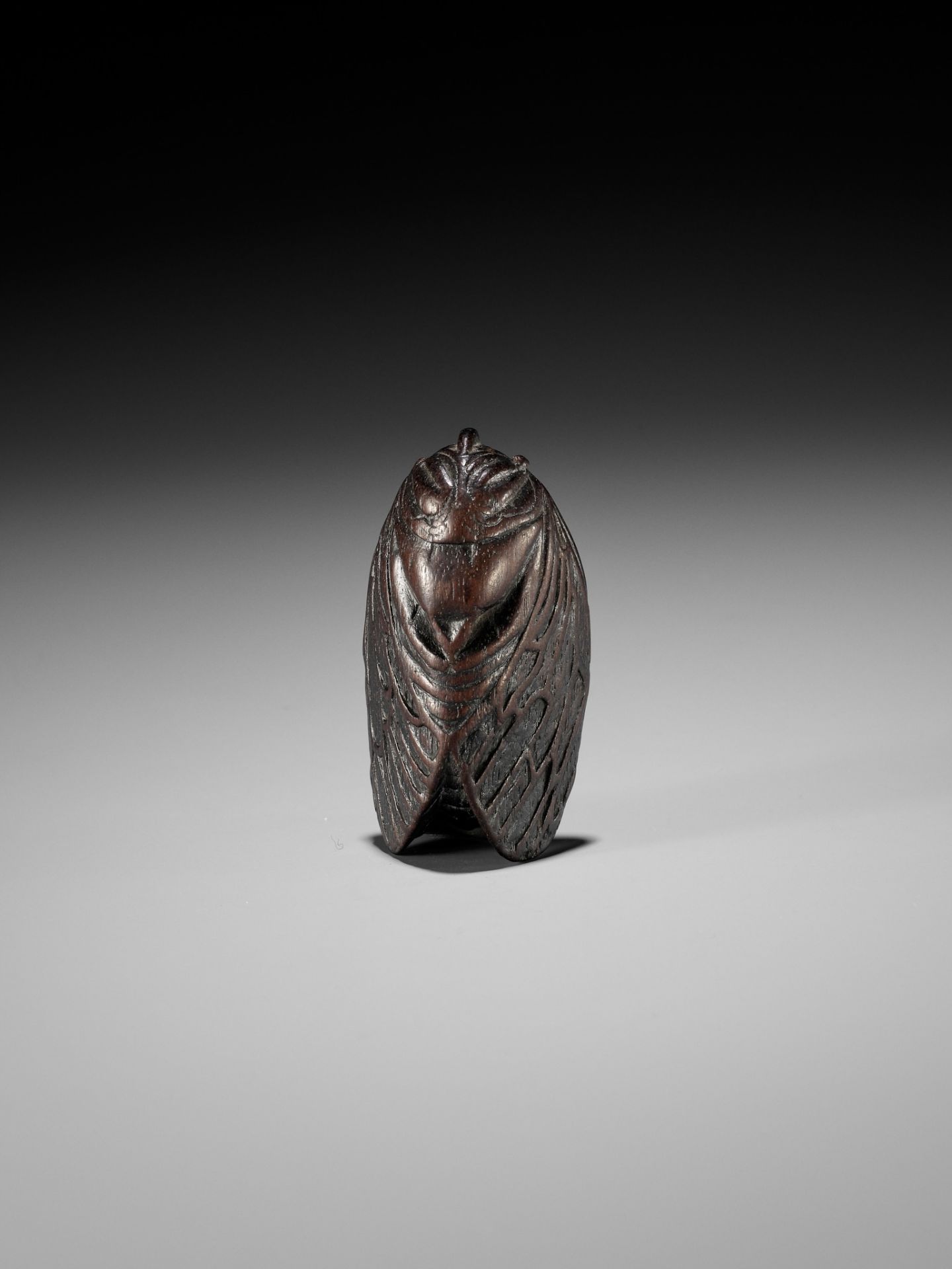 A RARE AND UNUSUAL WOOD MASK NETSUKE OF A CICADA - Image 10 of 12