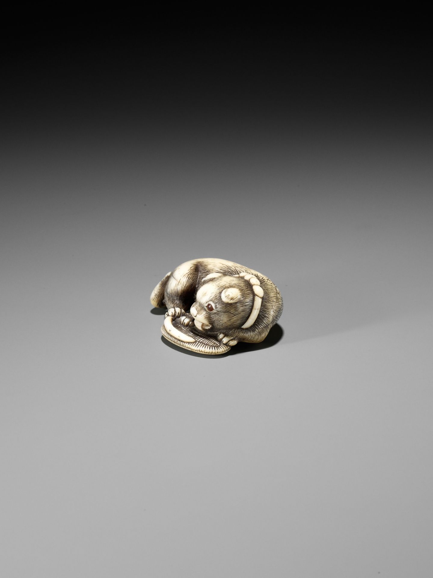 A FINE OSAKA SCHOOL IVORY NETSUKE OF A PUPPY PLAYING WITH A SANDAL (WARAJI) - Bild 6 aus 10