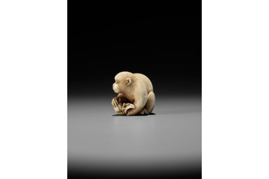 OKATORI: A FINE IVORY NETSUKE OF A MONKEY WITH A PEACH - Image 6 of 15