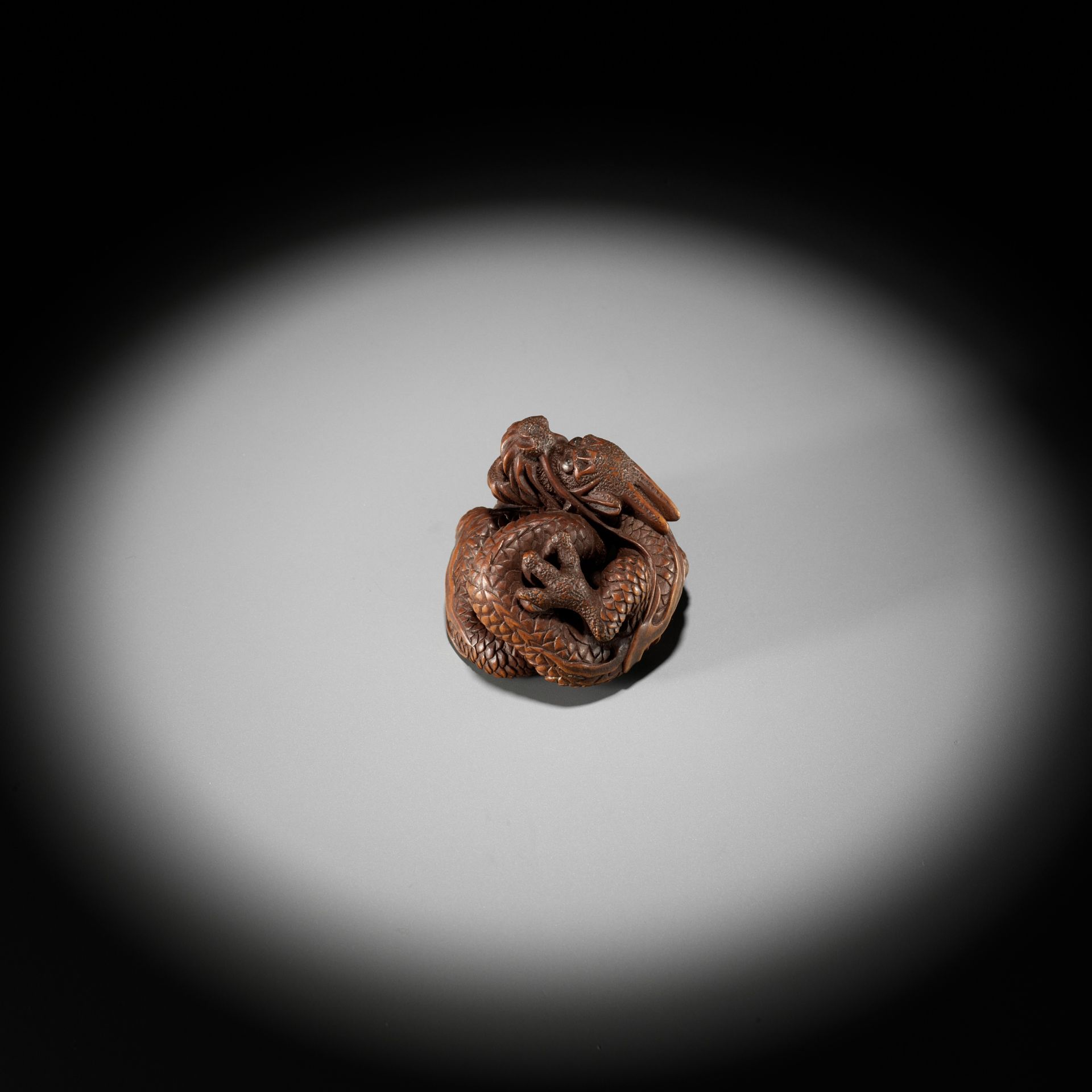 HARUMITSU: AN IMPRESSIVE WOOD NETSUKE OF A COILED DRAGON - Bild 8 aus 12